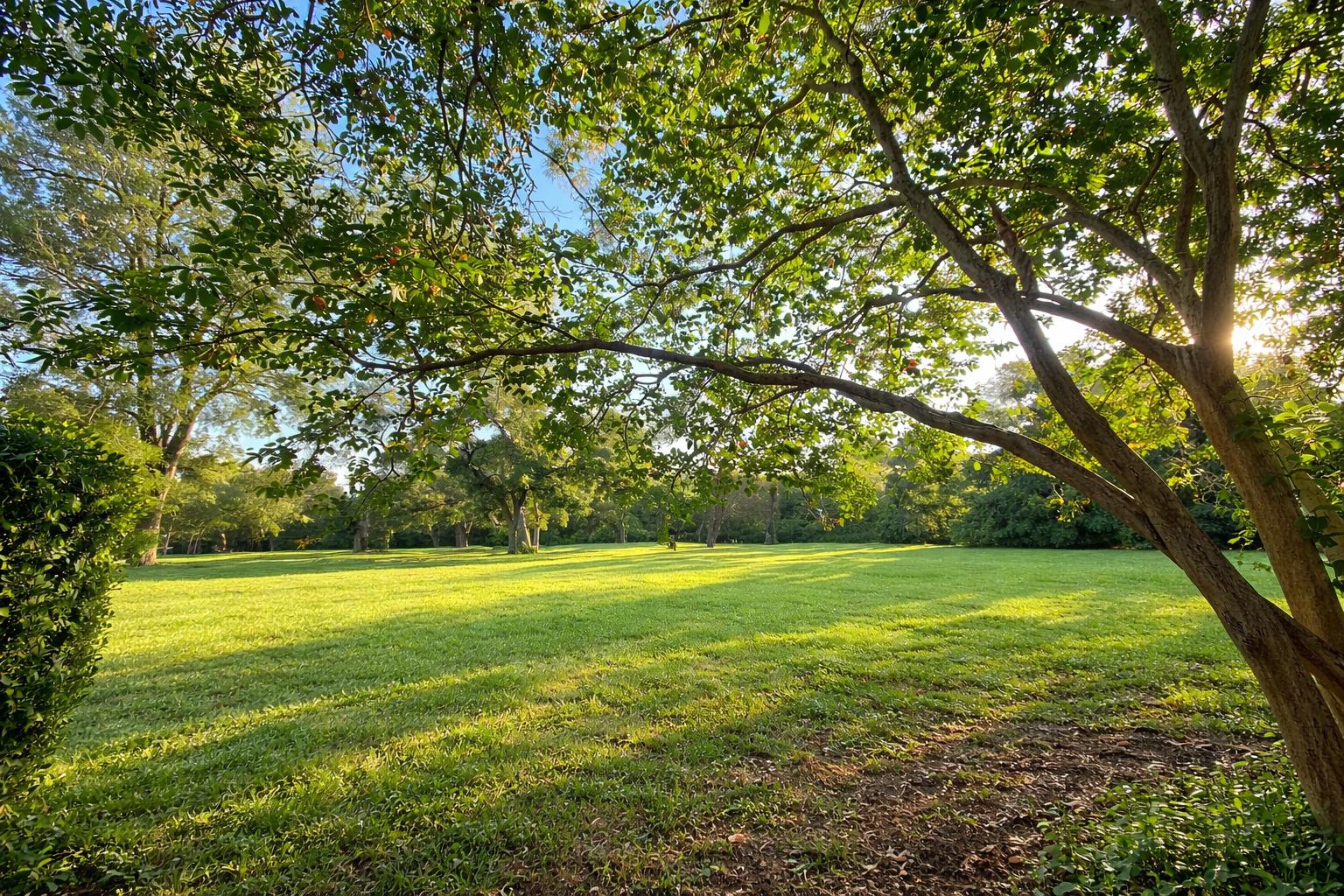 3618 Quiette Dr, Austin, TX 78754