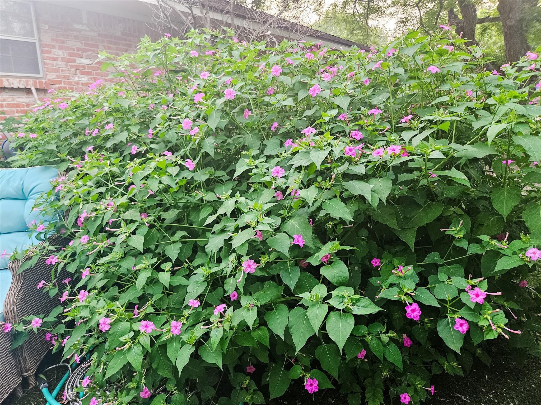 3618 Quiette Dr, Austin, TX 78754