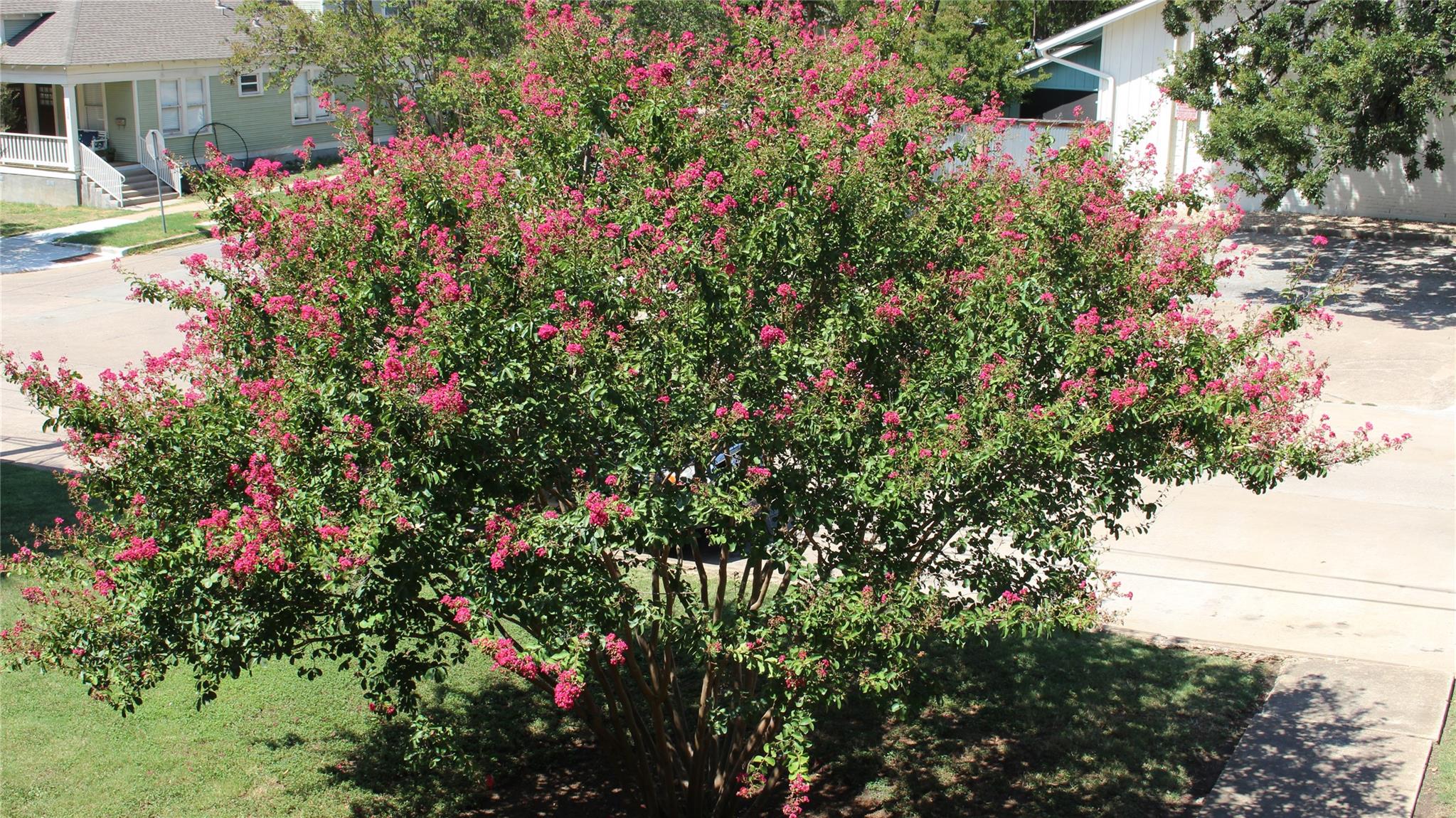 301 E 34th St # 105, Austin, TX 78705