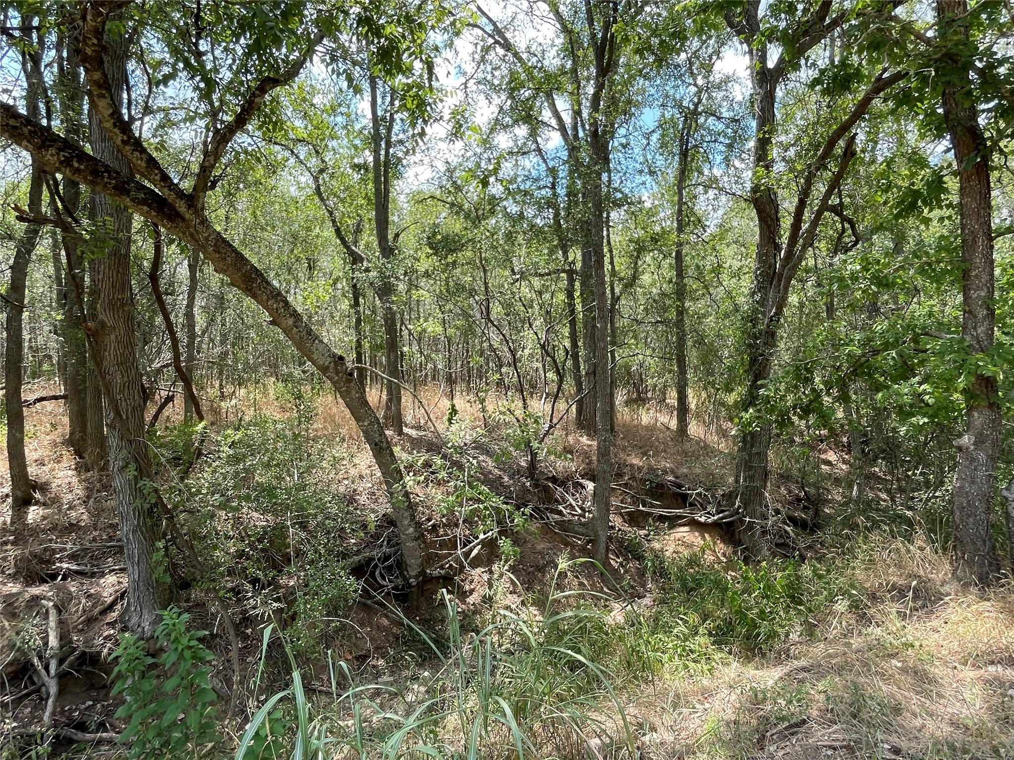 105 E Waiehu Ln Ln, Bastrop, TX 78602