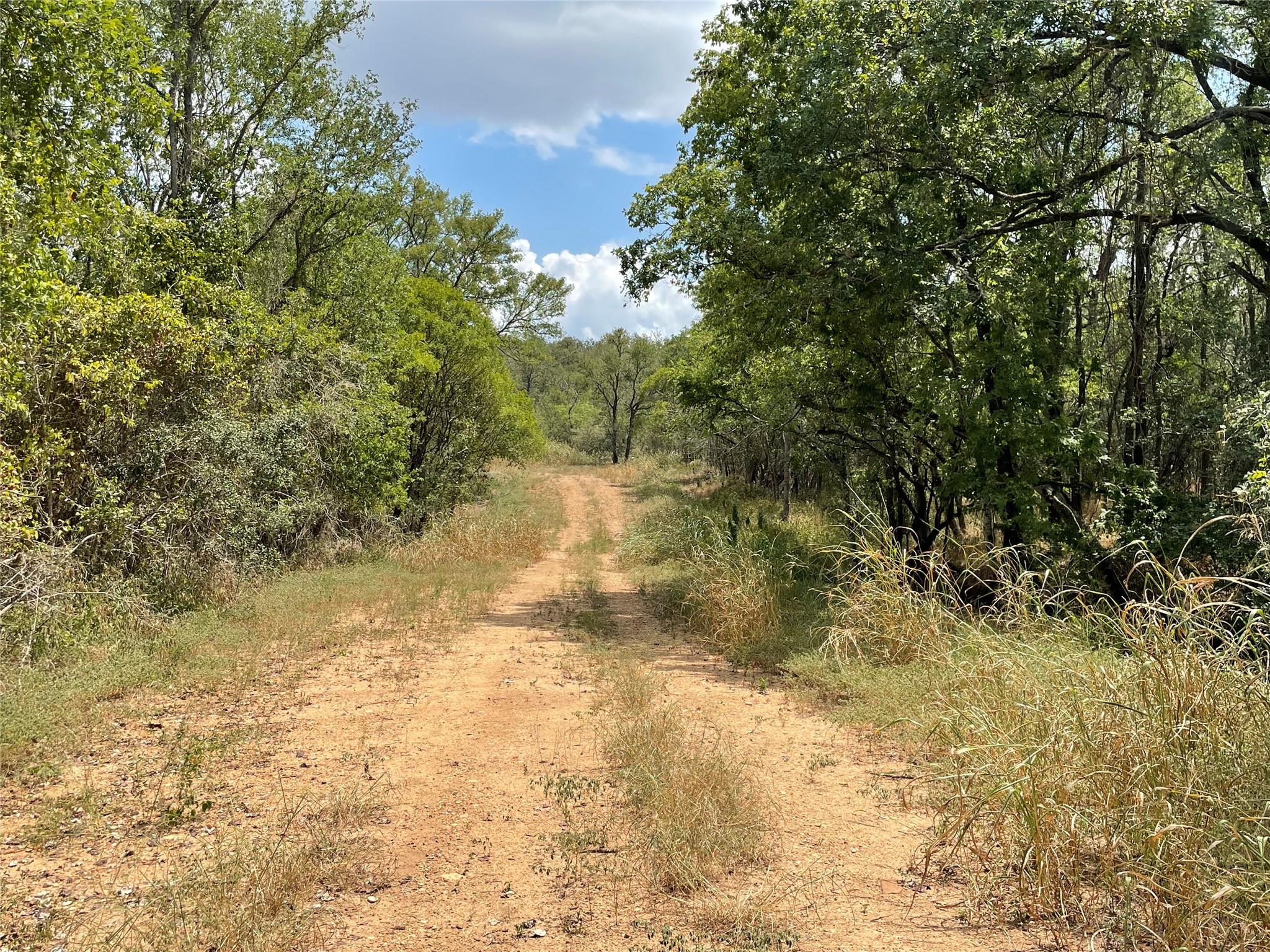 105 E Waiehu Ln Ln, Bastrop, TX 78602