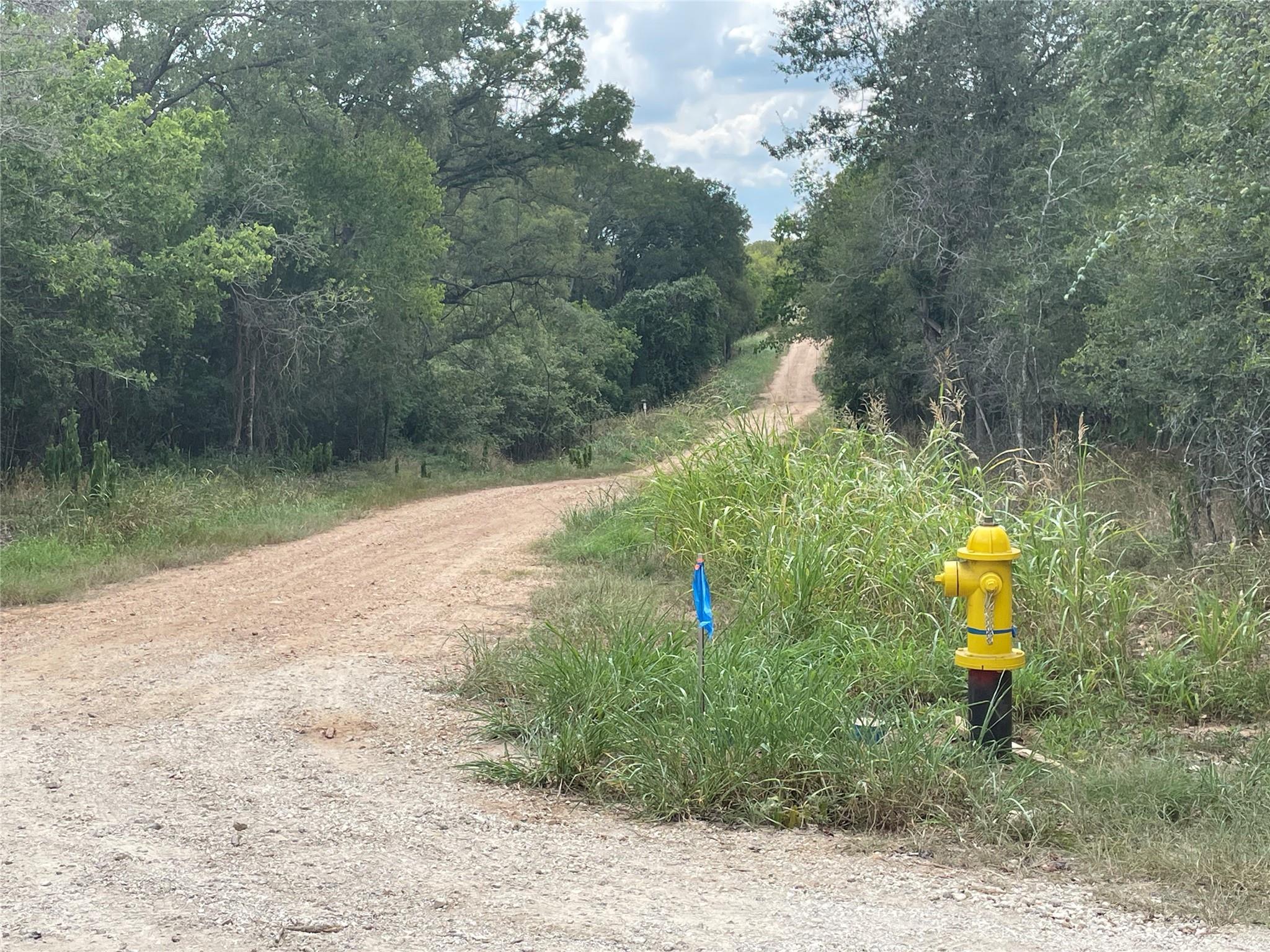 105 E Waiehu Ln Ln, Bastrop, TX 78602