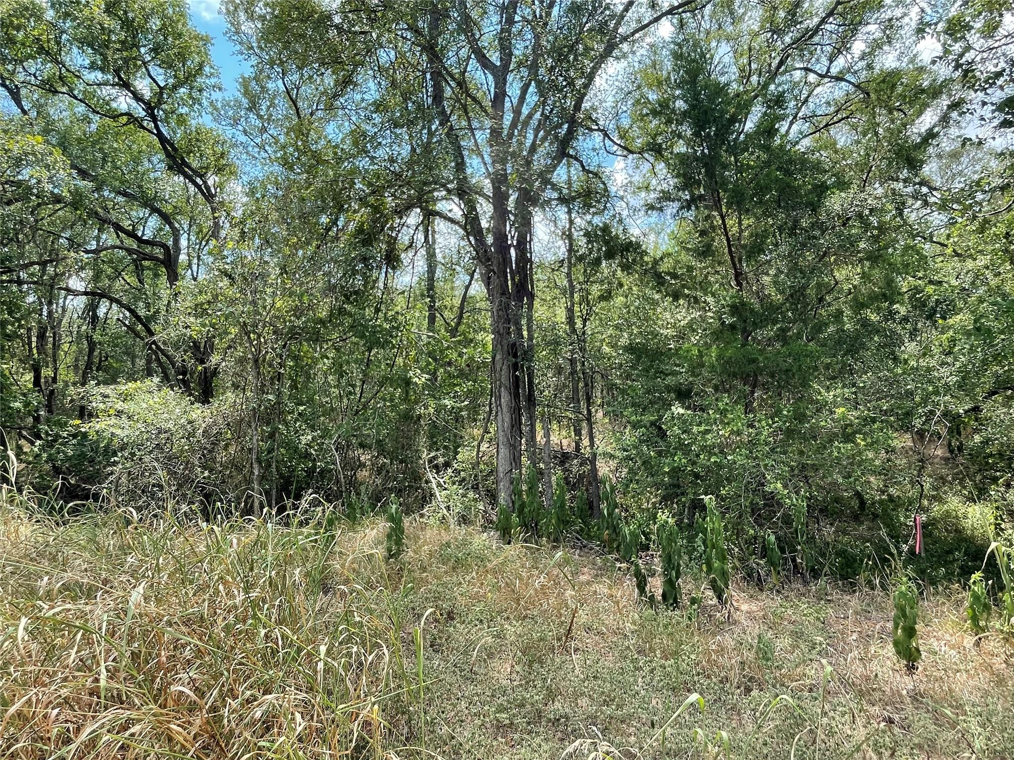 105 E Waiehu Ln Ln, Bastrop, TX 78602