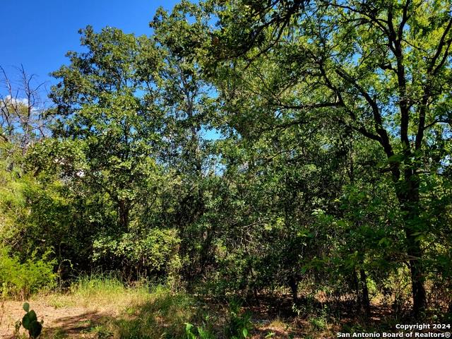 tbd Dale Ln, Dale, TX 78616
