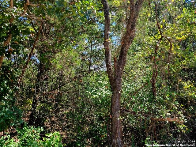 tbd Dale Ln, Dale, TX 78616