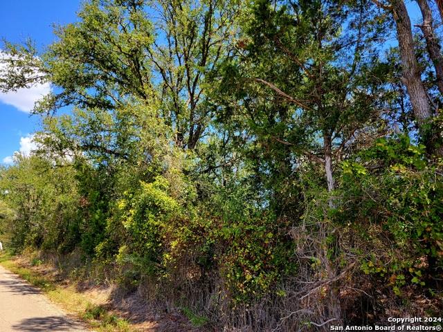 tbd Dale Ln, Dale, TX 78616