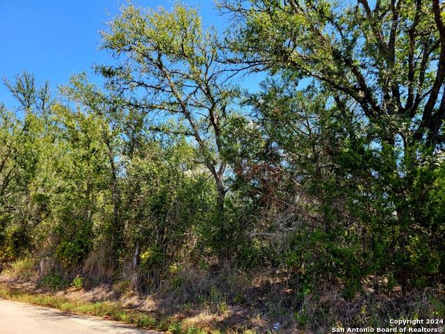 tbd Dale Ln, Dale, TX 78616