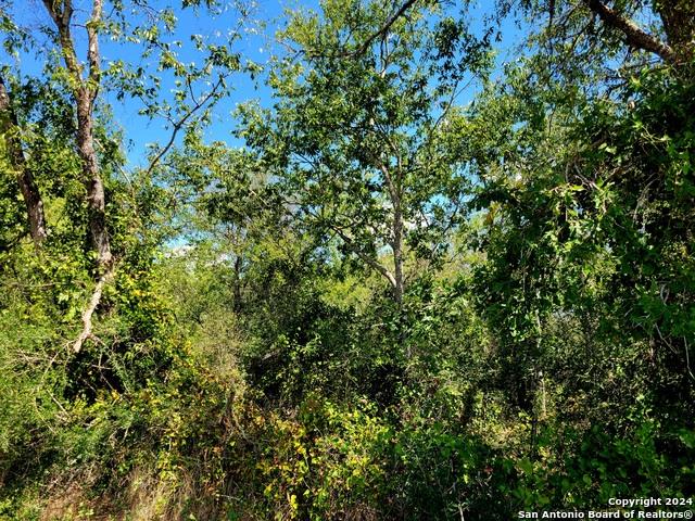 tbd Dale Ln, Dale, TX 78616