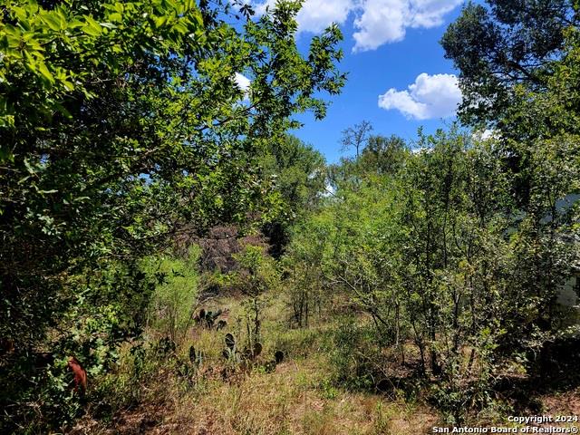 tbd Dale Ln, Dale, TX 78616