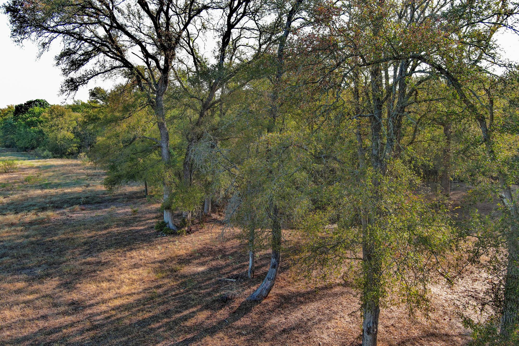 TBD White Tail Dr, Cedar Creek, TX 78612