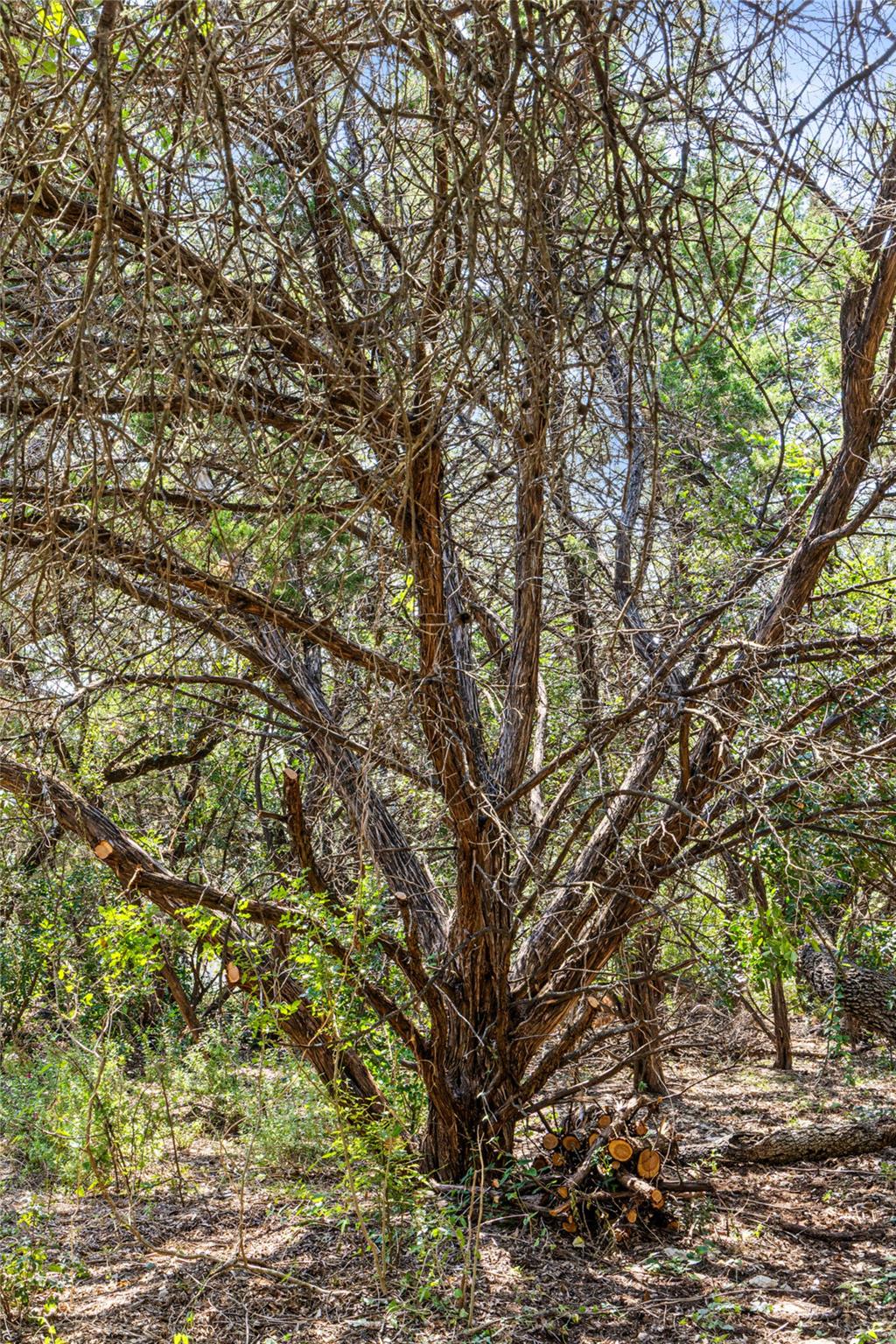 212 Hazeltine Dr, Lakeway, TX 78734