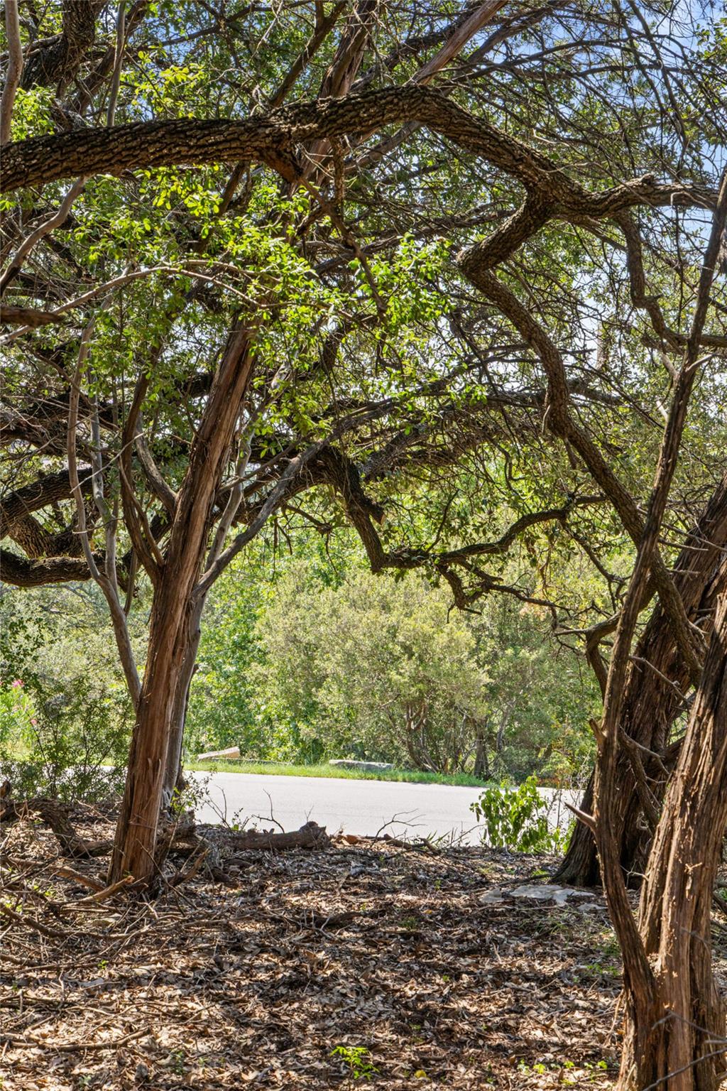 212 Hazeltine Dr, Lakeway, TX 78734