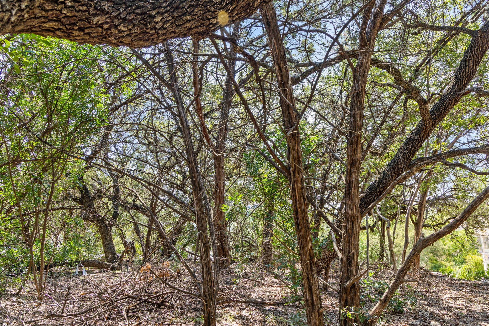 212 Hazeltine Dr, Lakeway, TX 78734