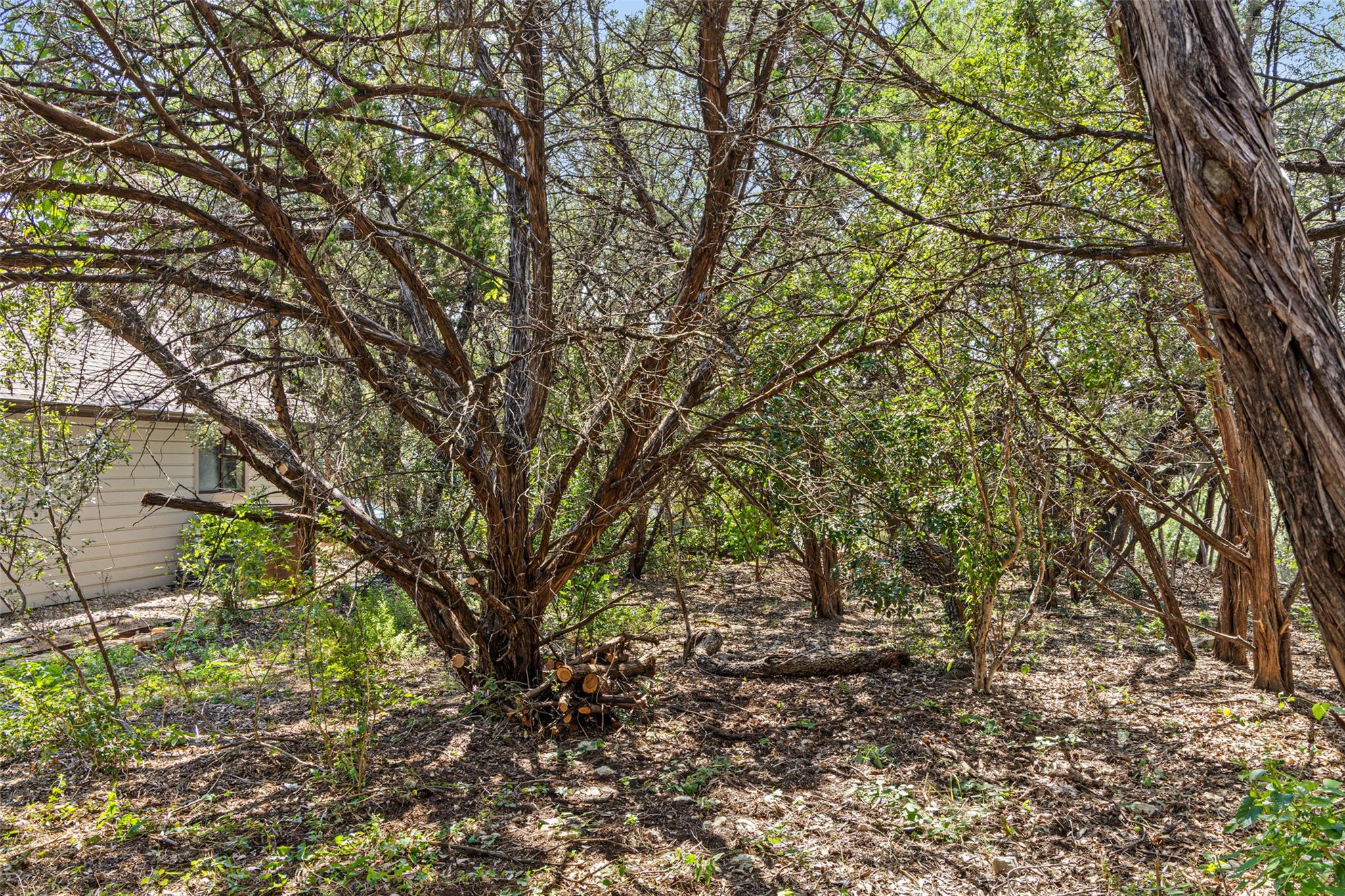 212 Hazeltine Dr, Lakeway, TX 78734