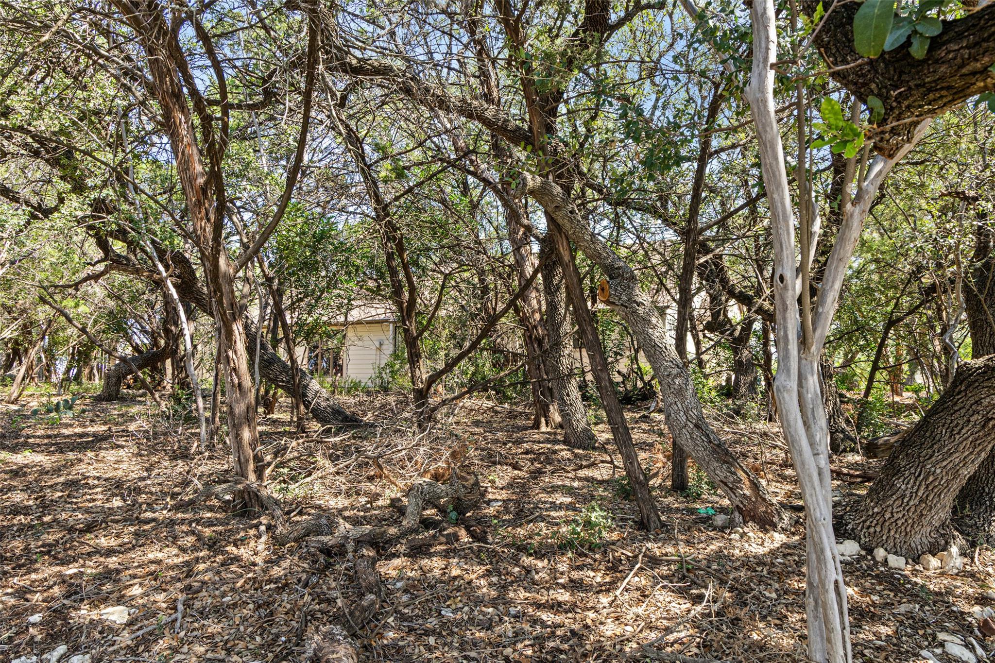 212 Hazeltine Dr, Lakeway, TX 78734