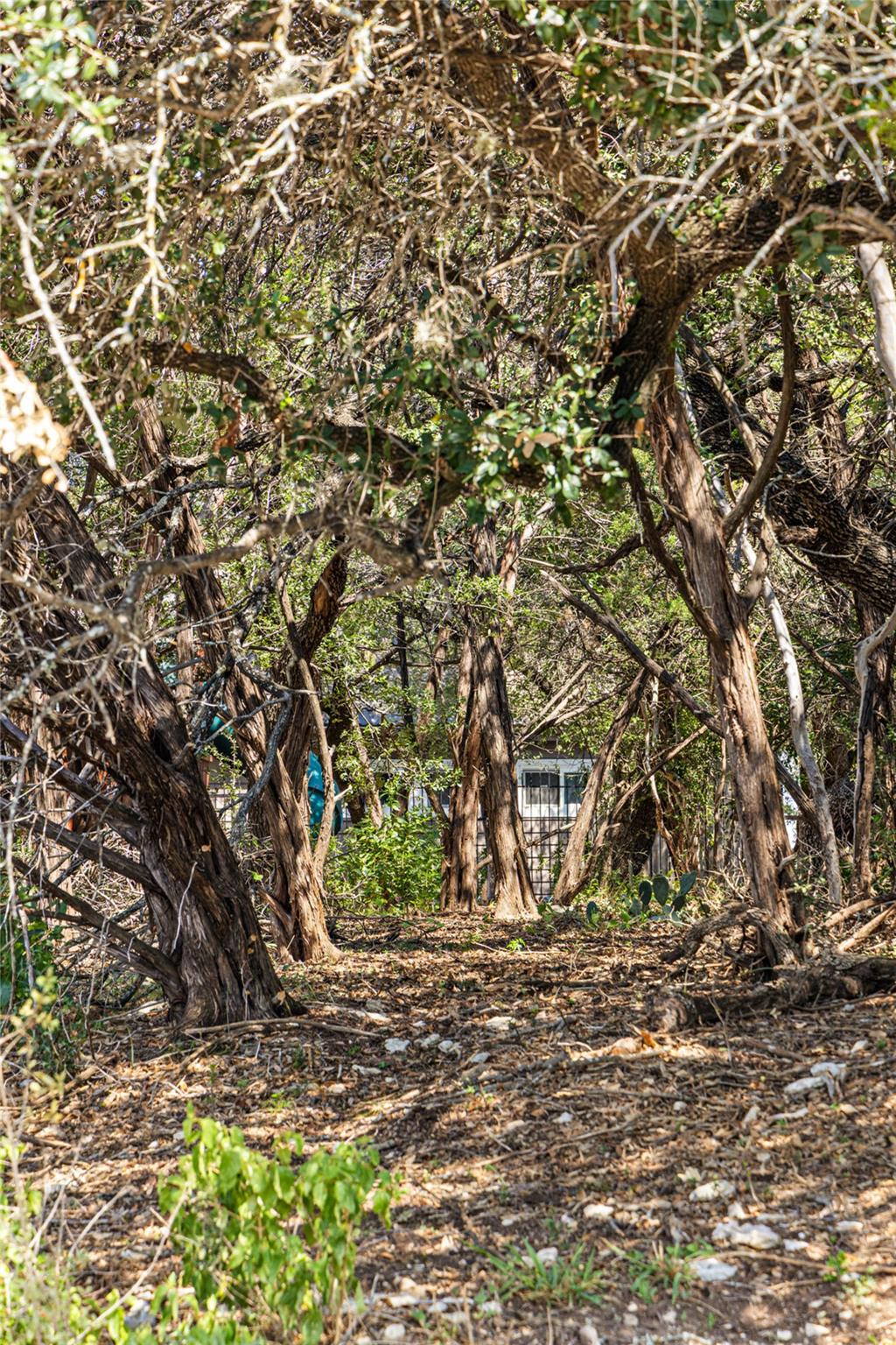 212 Hazeltine Dr, Lakeway, TX 78734