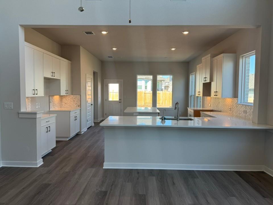 213 Coyote Willow Way, Georgetown, TX 78633