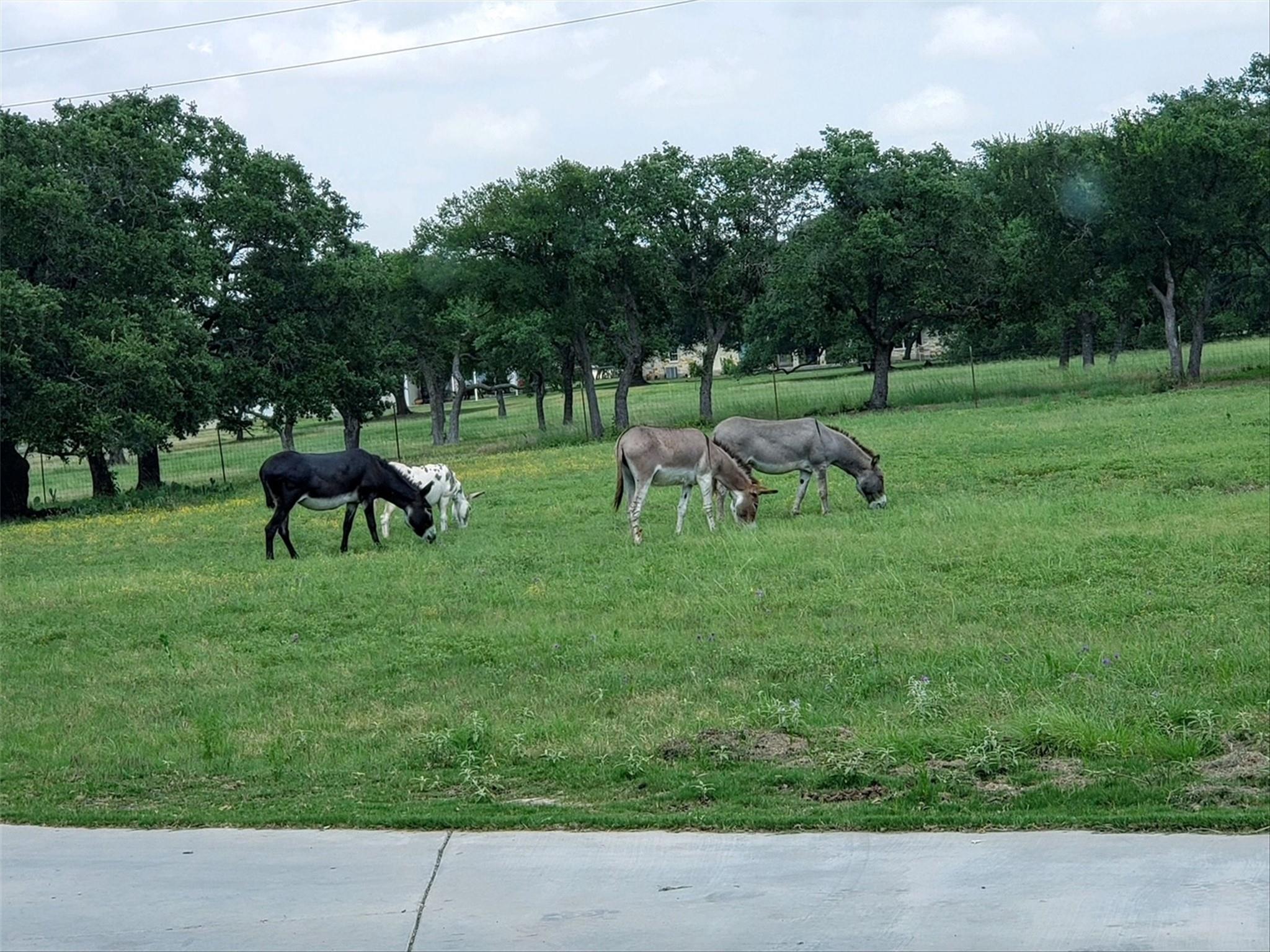 8169 Ranch Road 2338 # 2338, Georgetown, TX 78633