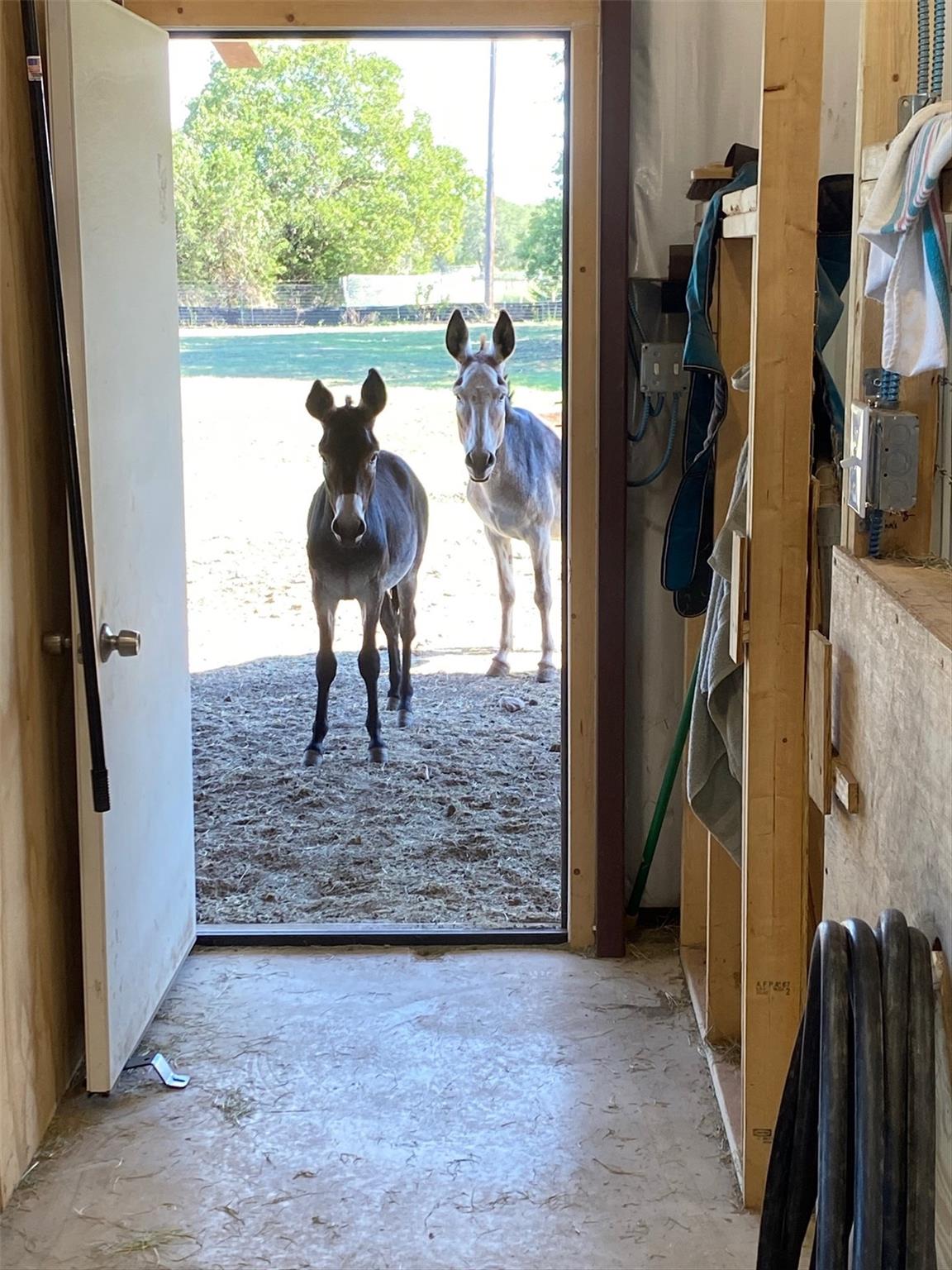 8169 Ranch Road 2338 # 2338, Georgetown, TX 78633