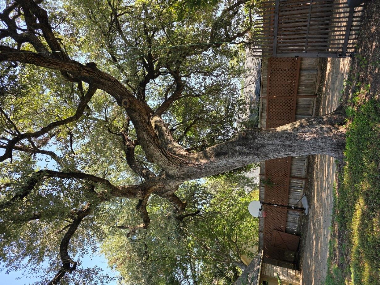 2505 Canyon Creek Dr, Temple, TX 76502