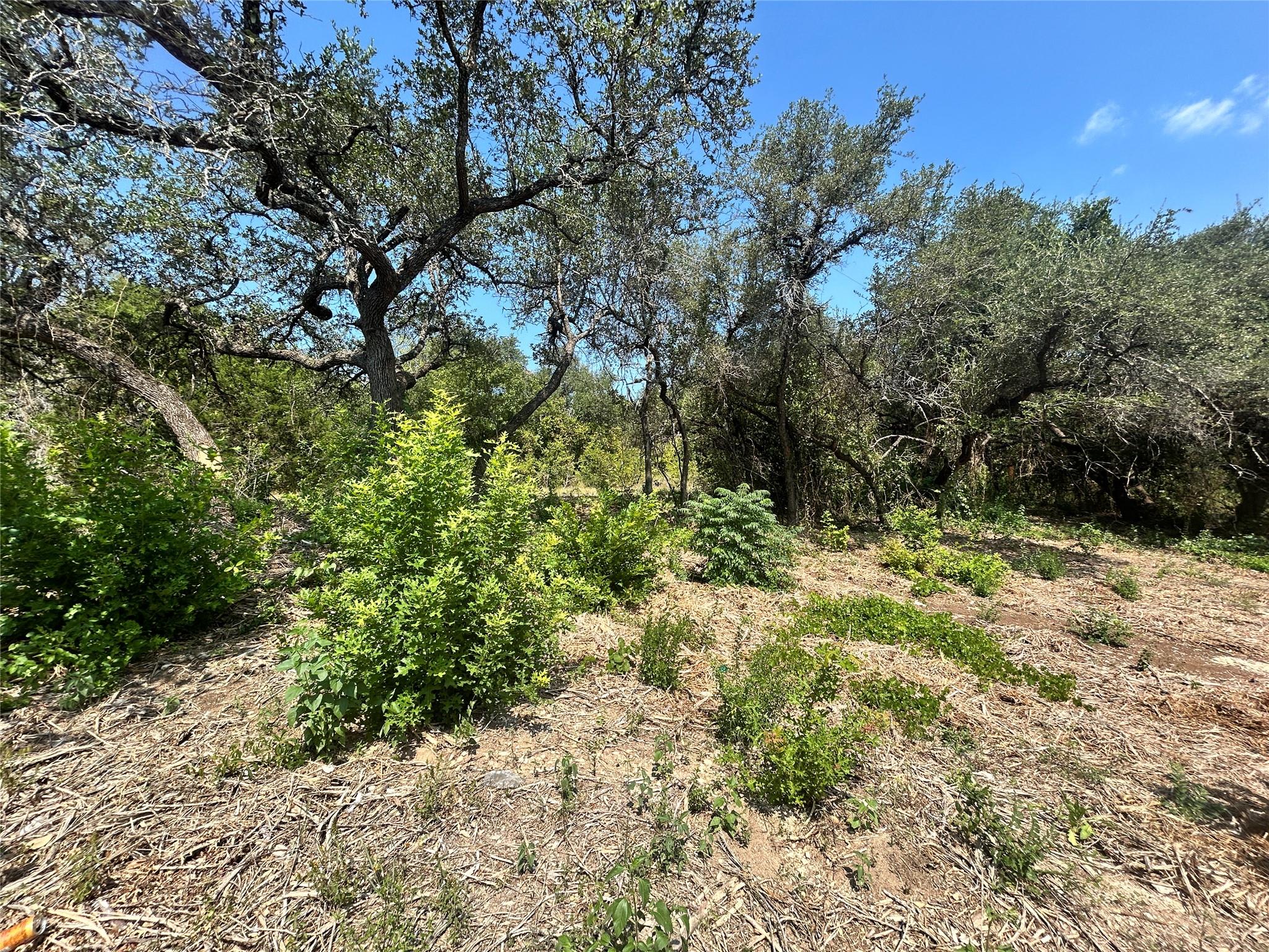 18310 Austin Dr, Jonestown, TX 78645