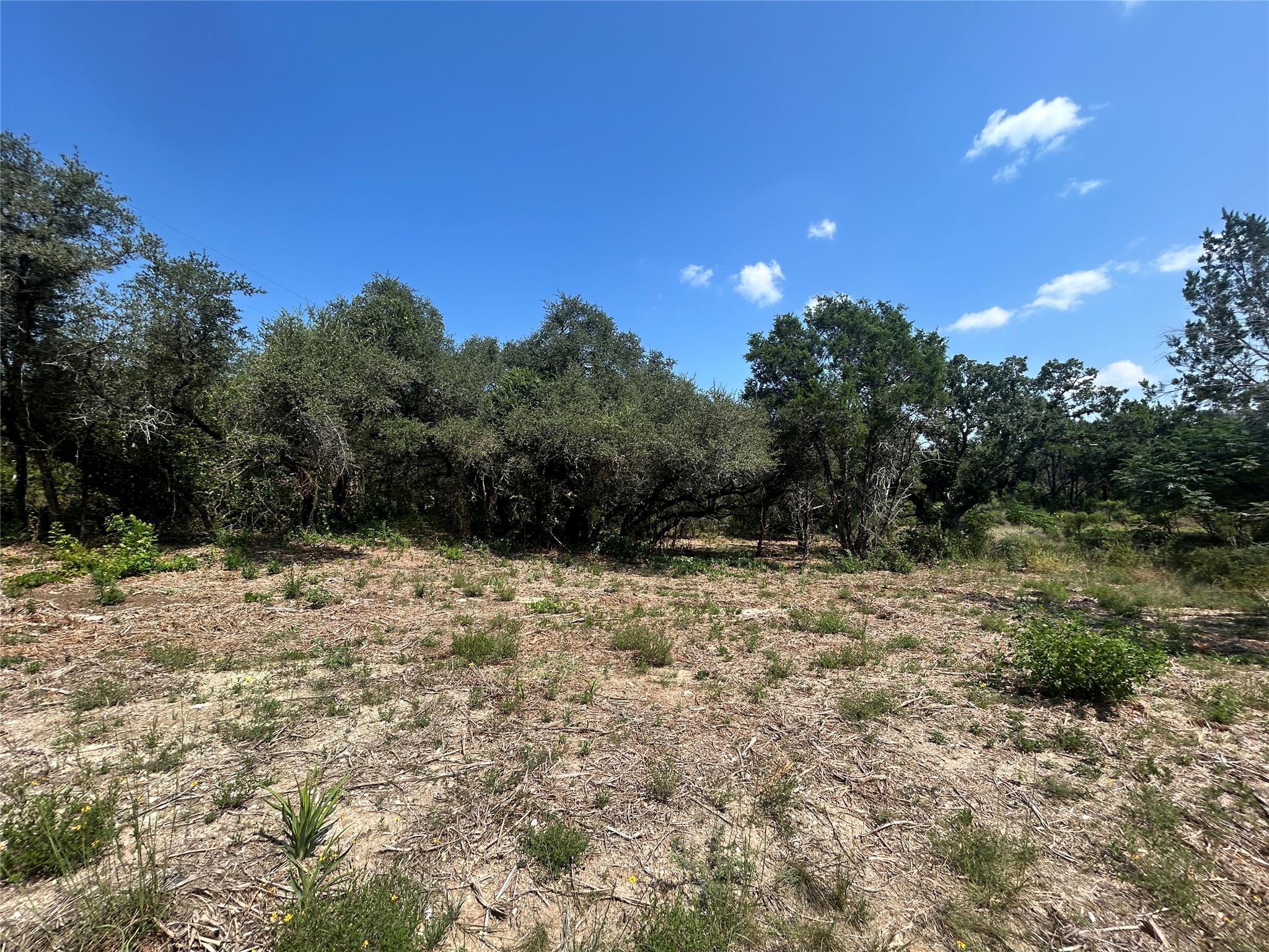 18310 Austin Dr, Jonestown, TX 78645