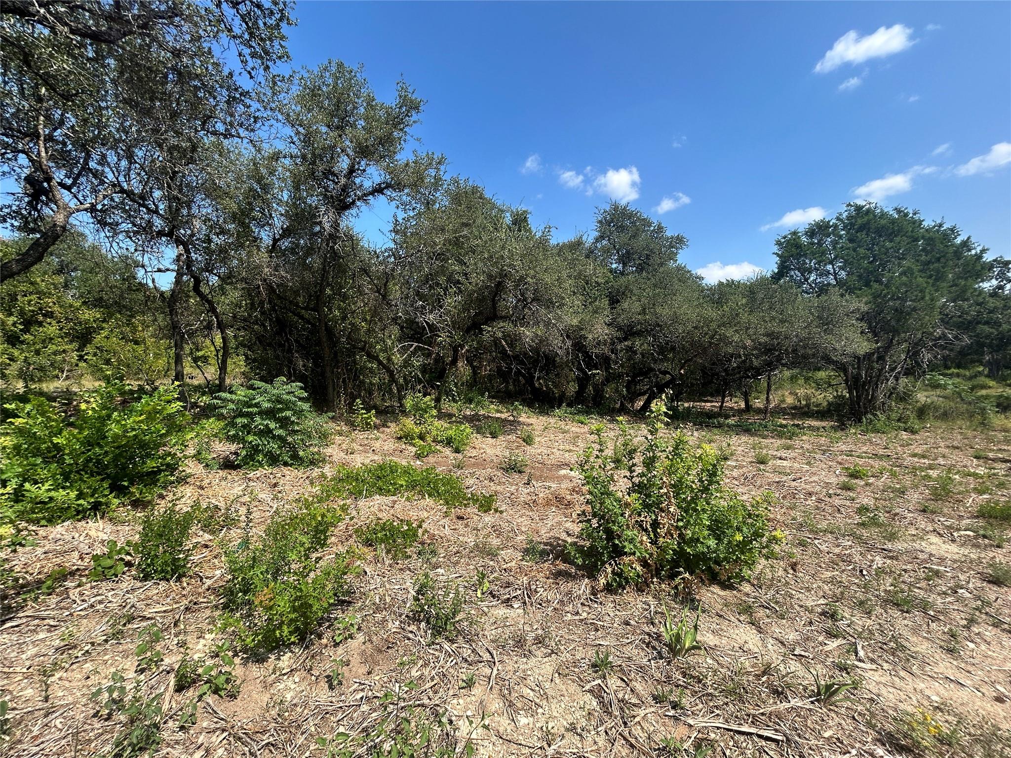 18310 Austin Dr, Jonestown, TX 78645