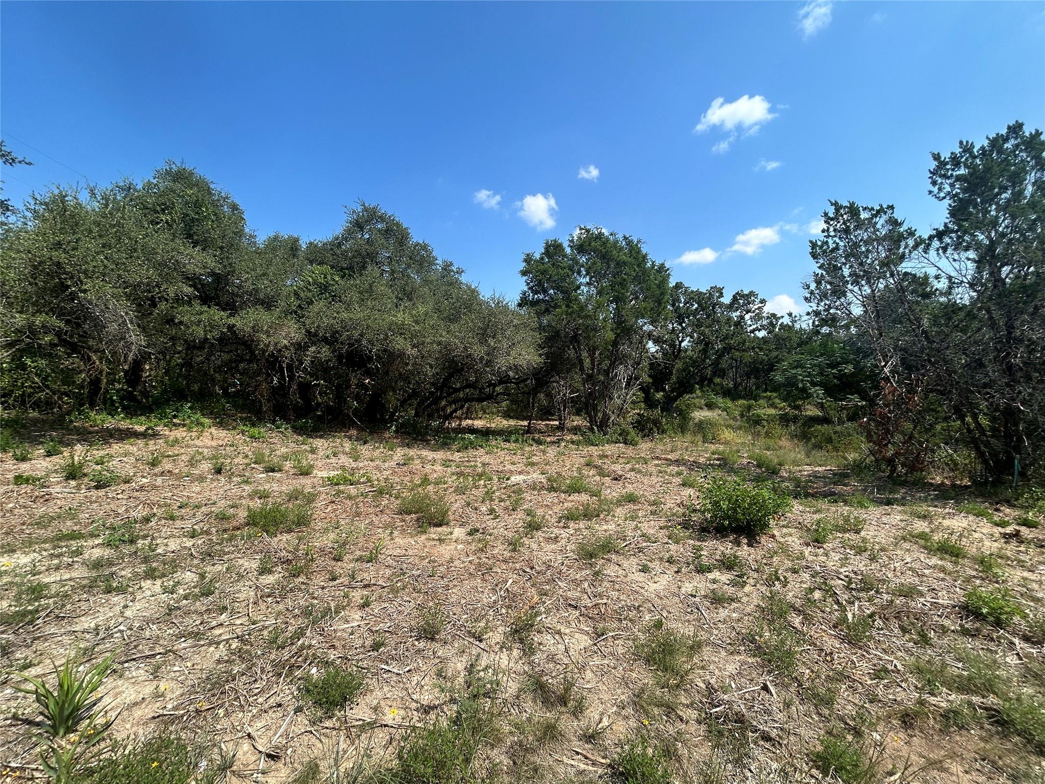 18310 Austin Dr, Jonestown, TX 78645