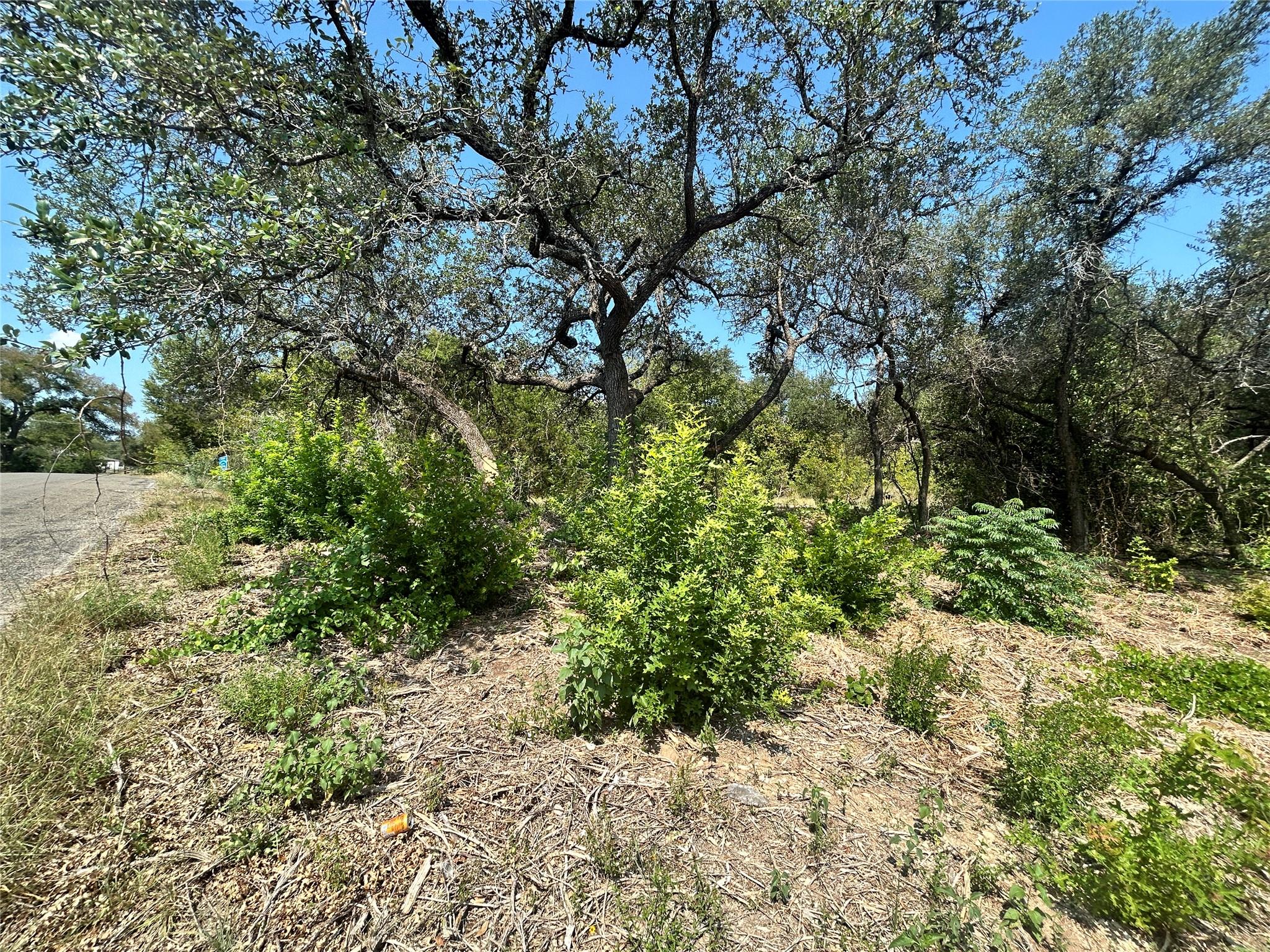 18310 Austin Dr, Jonestown, TX 78645