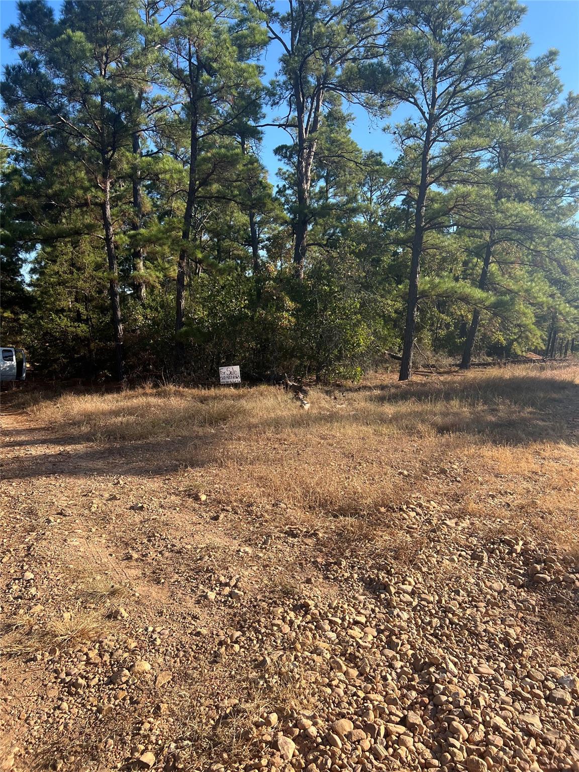 TBD Pine Lodge Dr, Bastrop, TX 78602