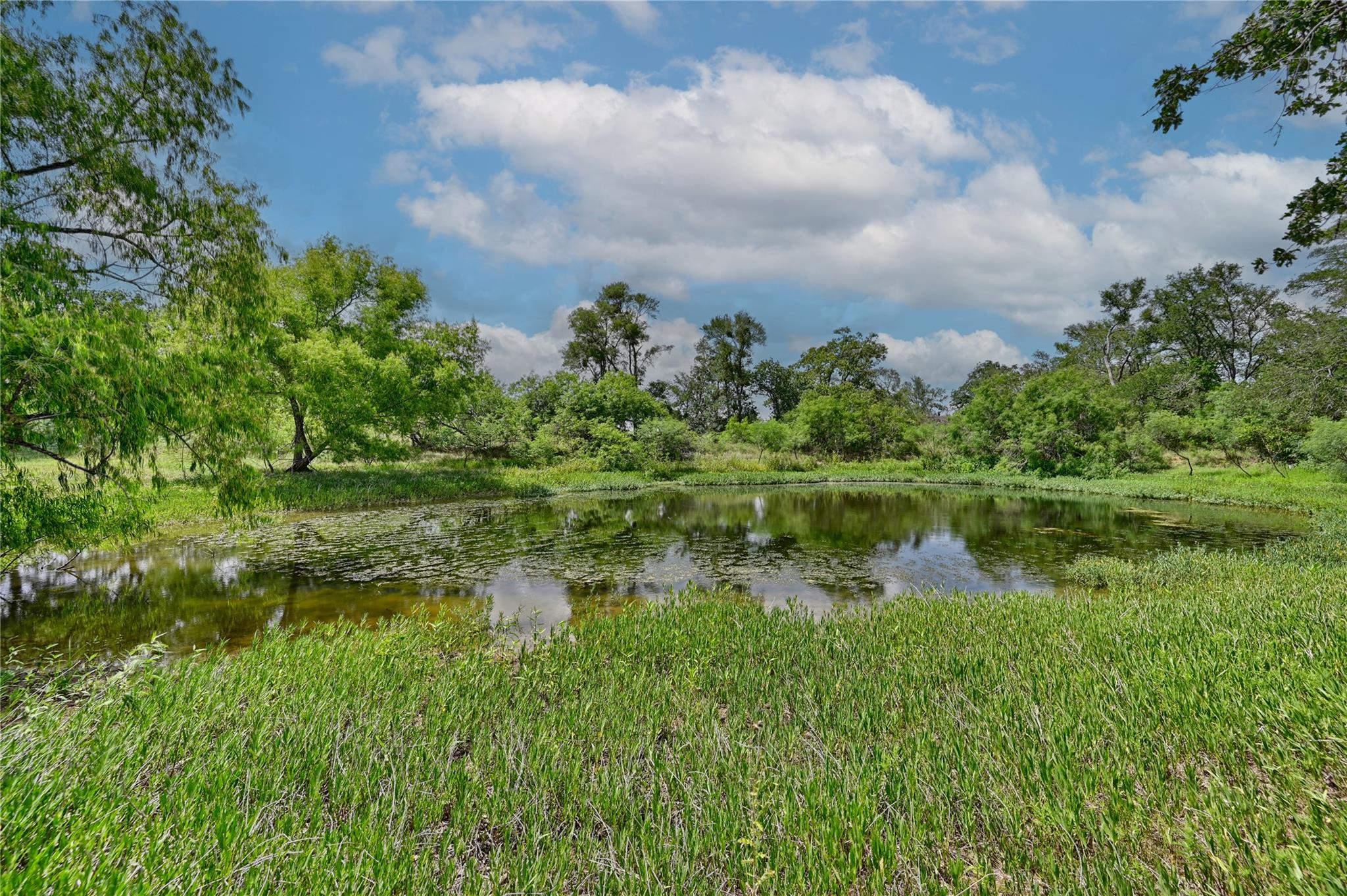 180 Sunny Day Dr, Red Rock, TX 78662