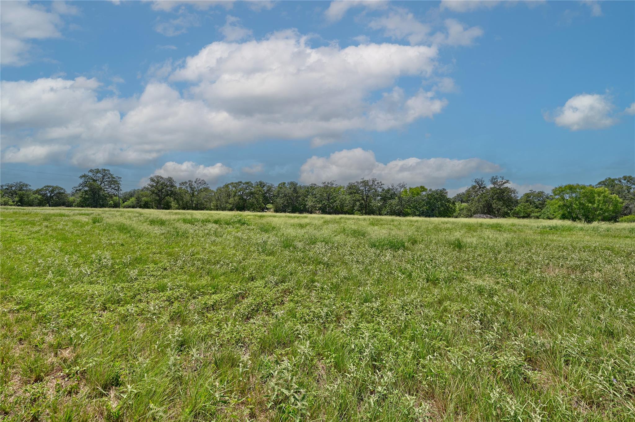 180 Sunny Day Dr, Red Rock, TX 78662