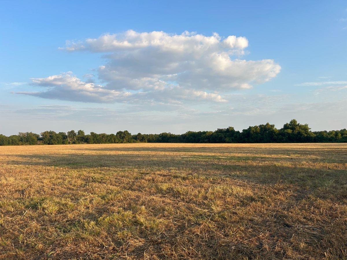 1 Pecan Rd, Troy, TX 76579