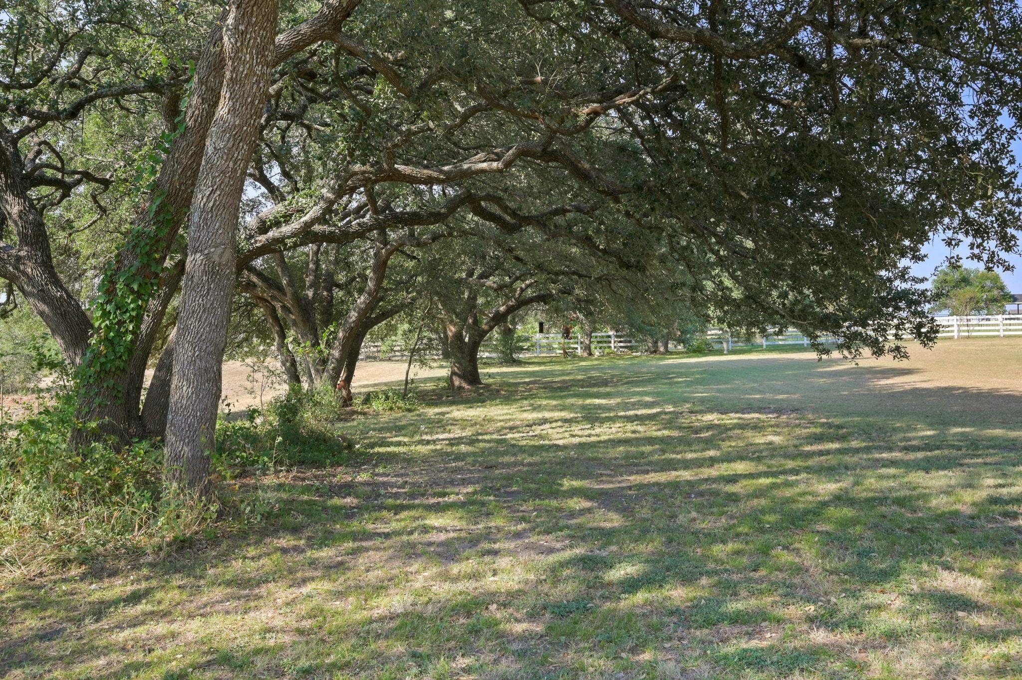 368 Courtnees Way, Georgetown, TX 78626