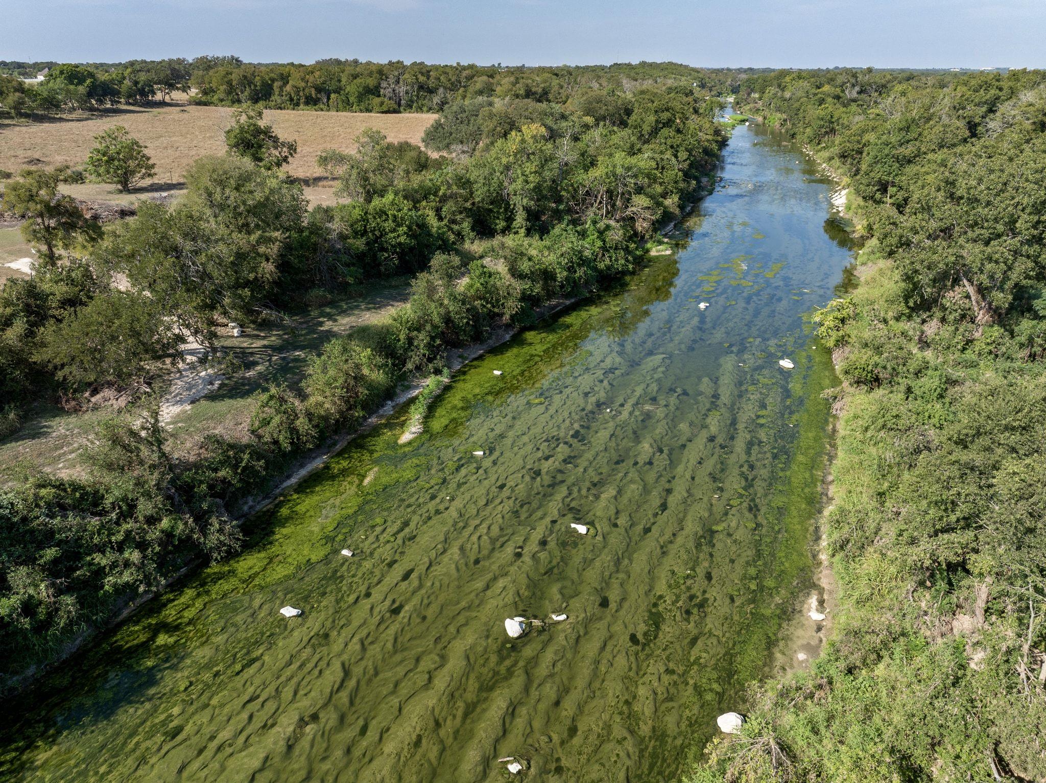 368 Courtnees Way, Georgetown, TX 78626