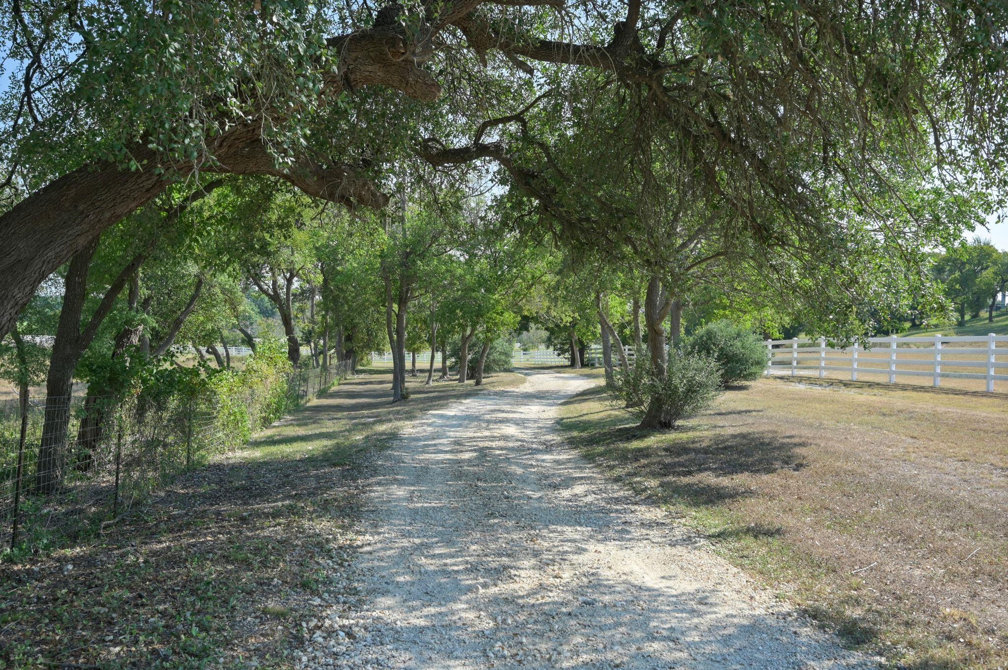 368 Courtnees Way, Georgetown, TX 78626