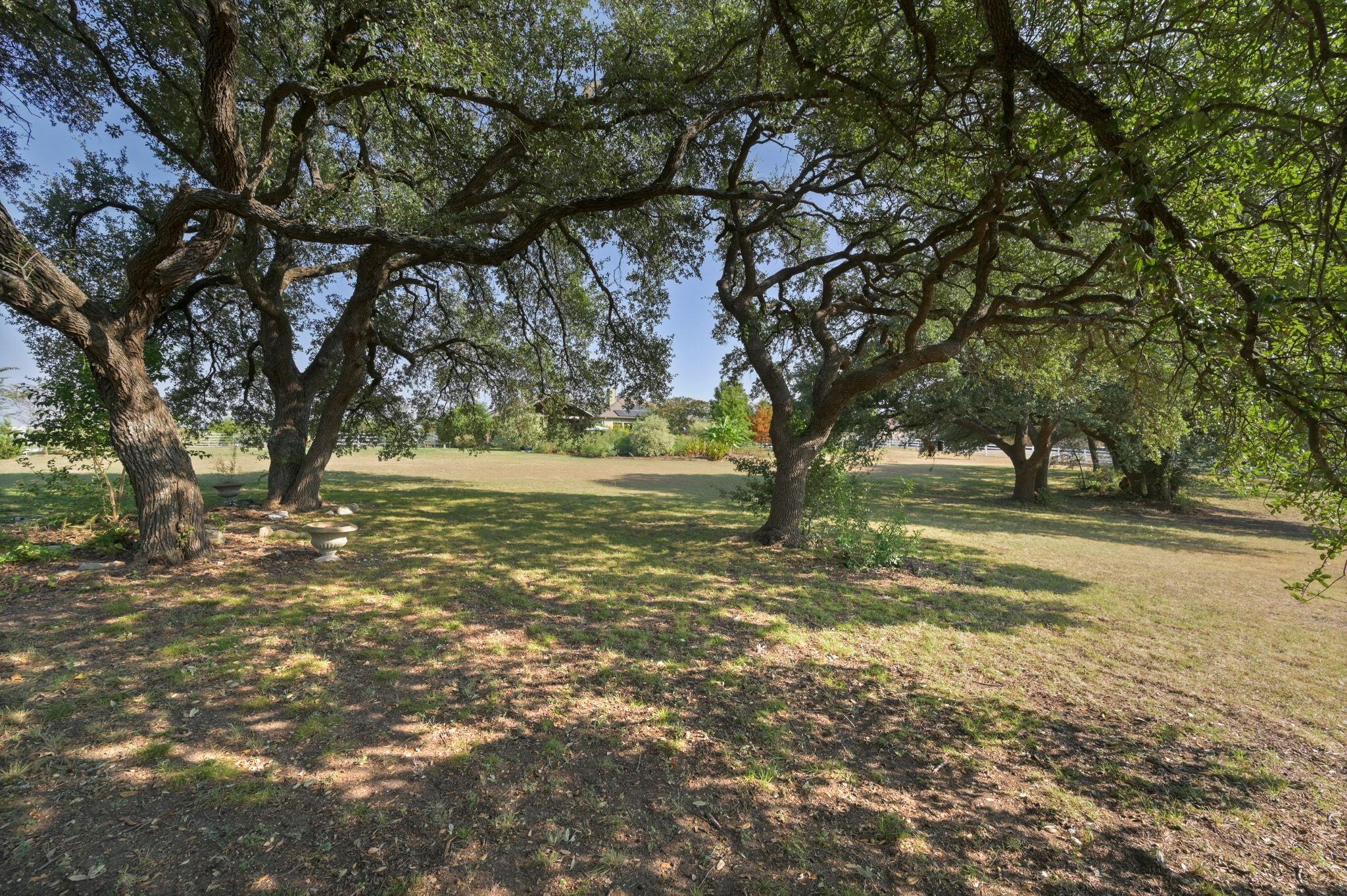 368 Courtnees Way, Georgetown, TX 78626