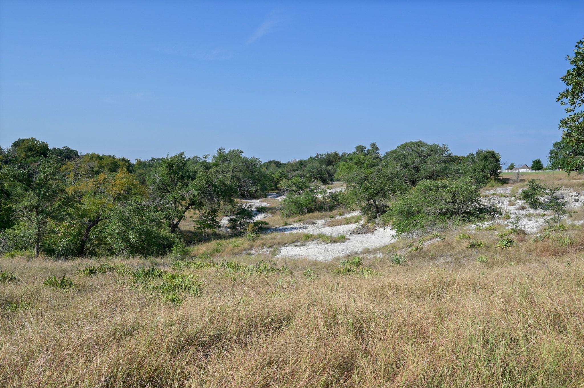 368 Courtnees Way, Georgetown, TX 78626