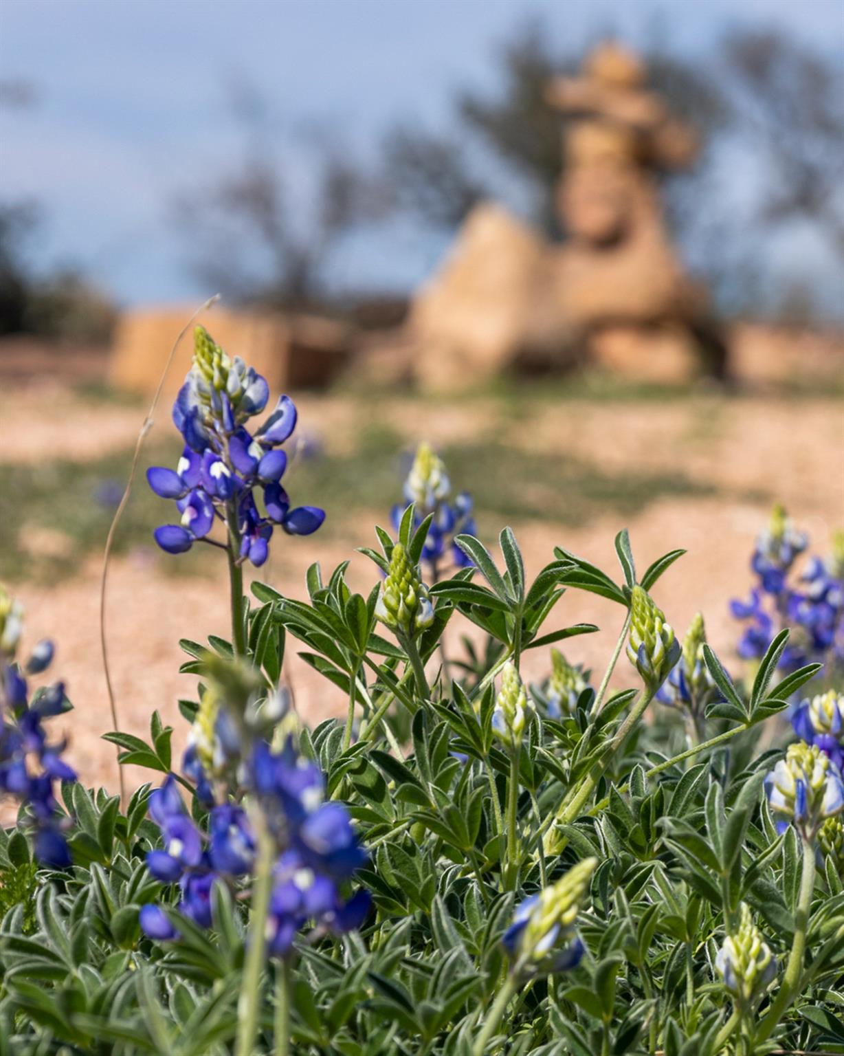 108 Exit Strategy Ln # 108, Llano, TX 78643