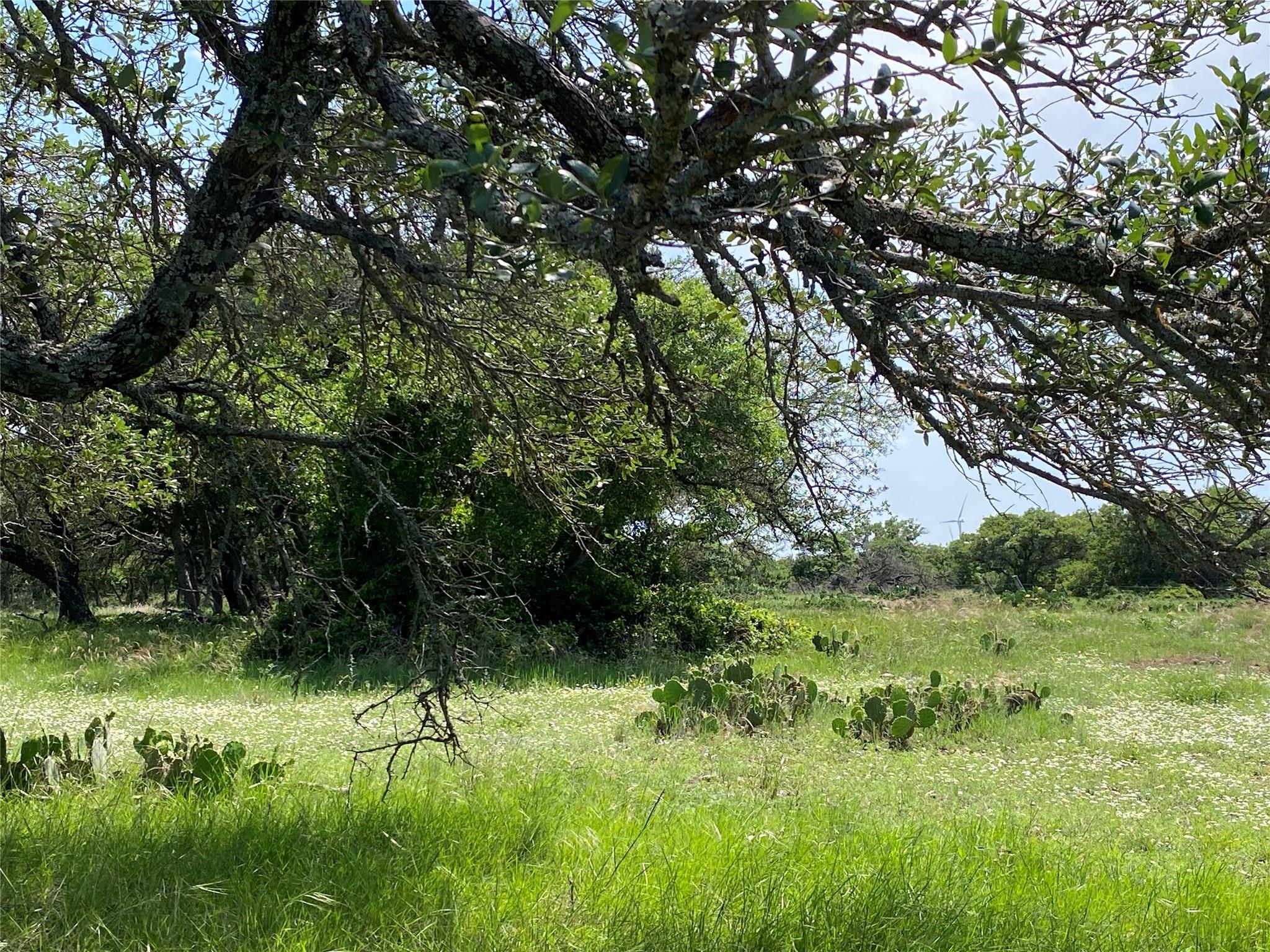 380 CR 262, Goldthwaite, TX 76844