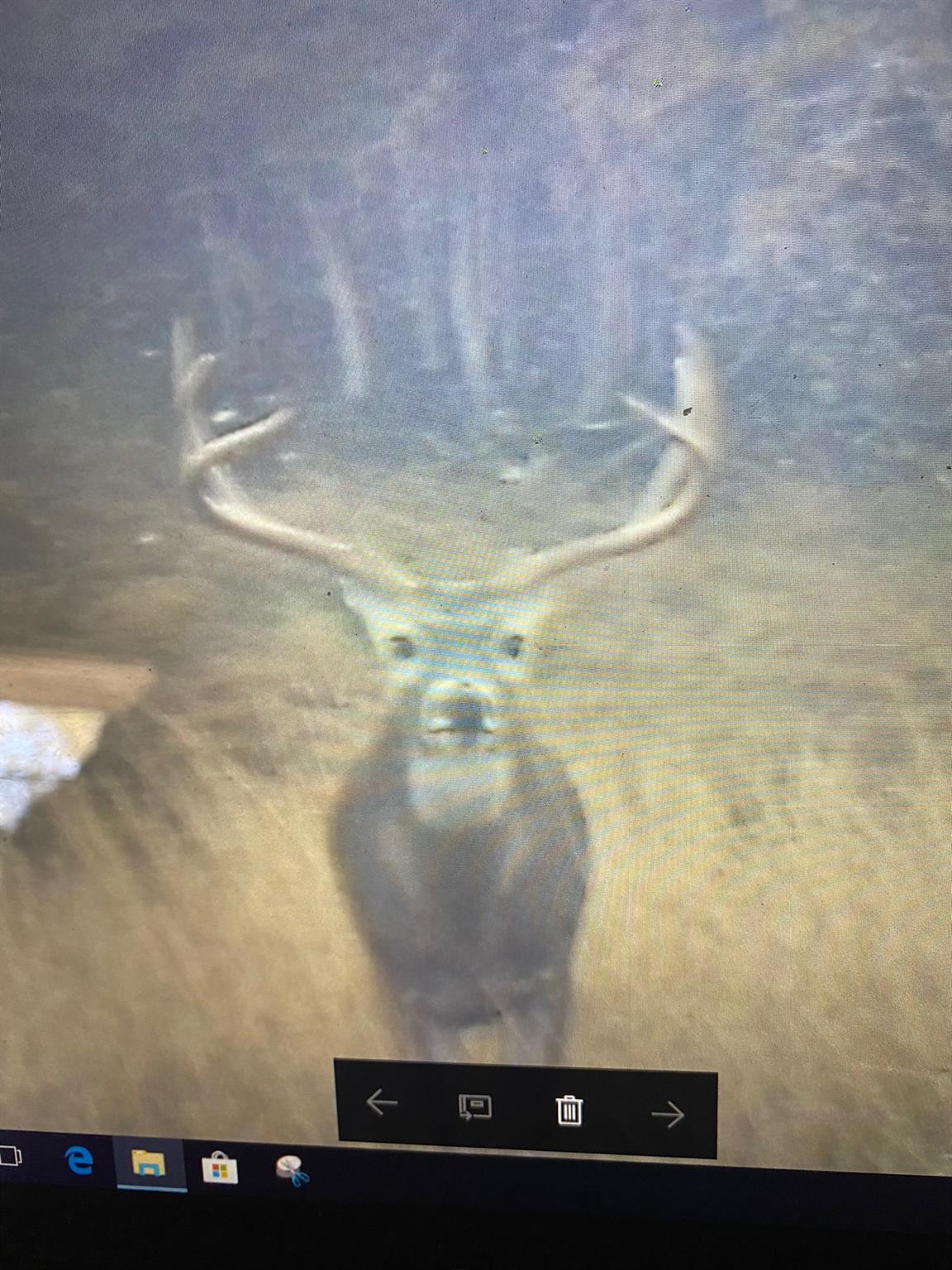 380 CR 262, Goldthwaite, TX 76844