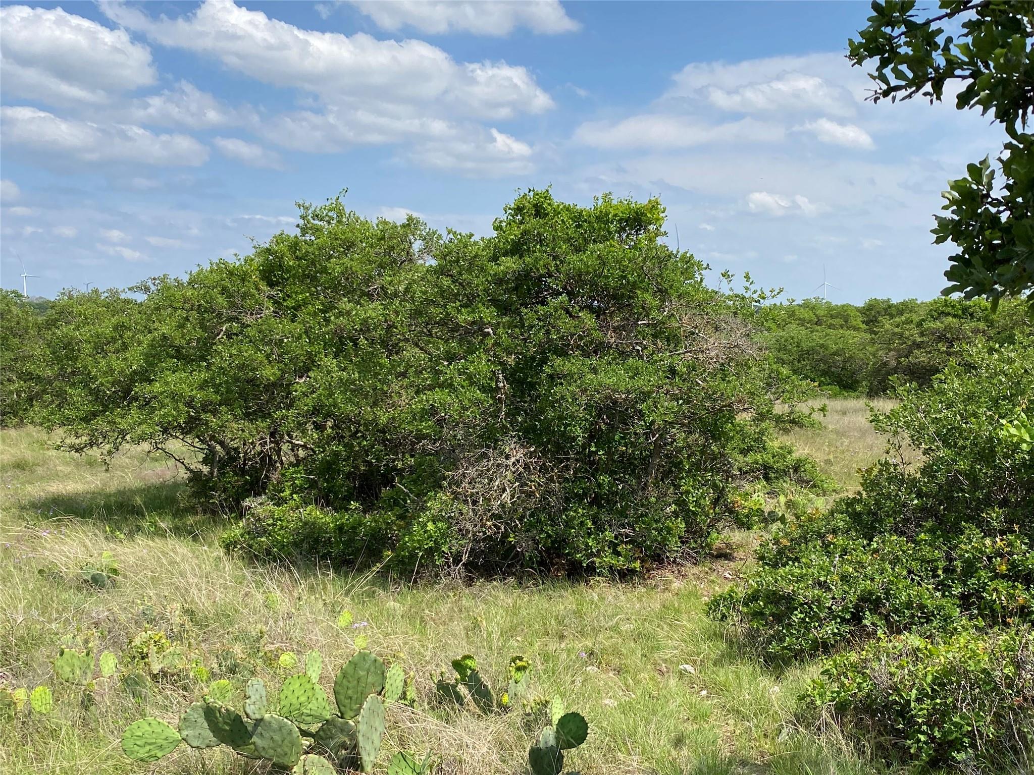 380 CR 262, Goldthwaite, TX 76844