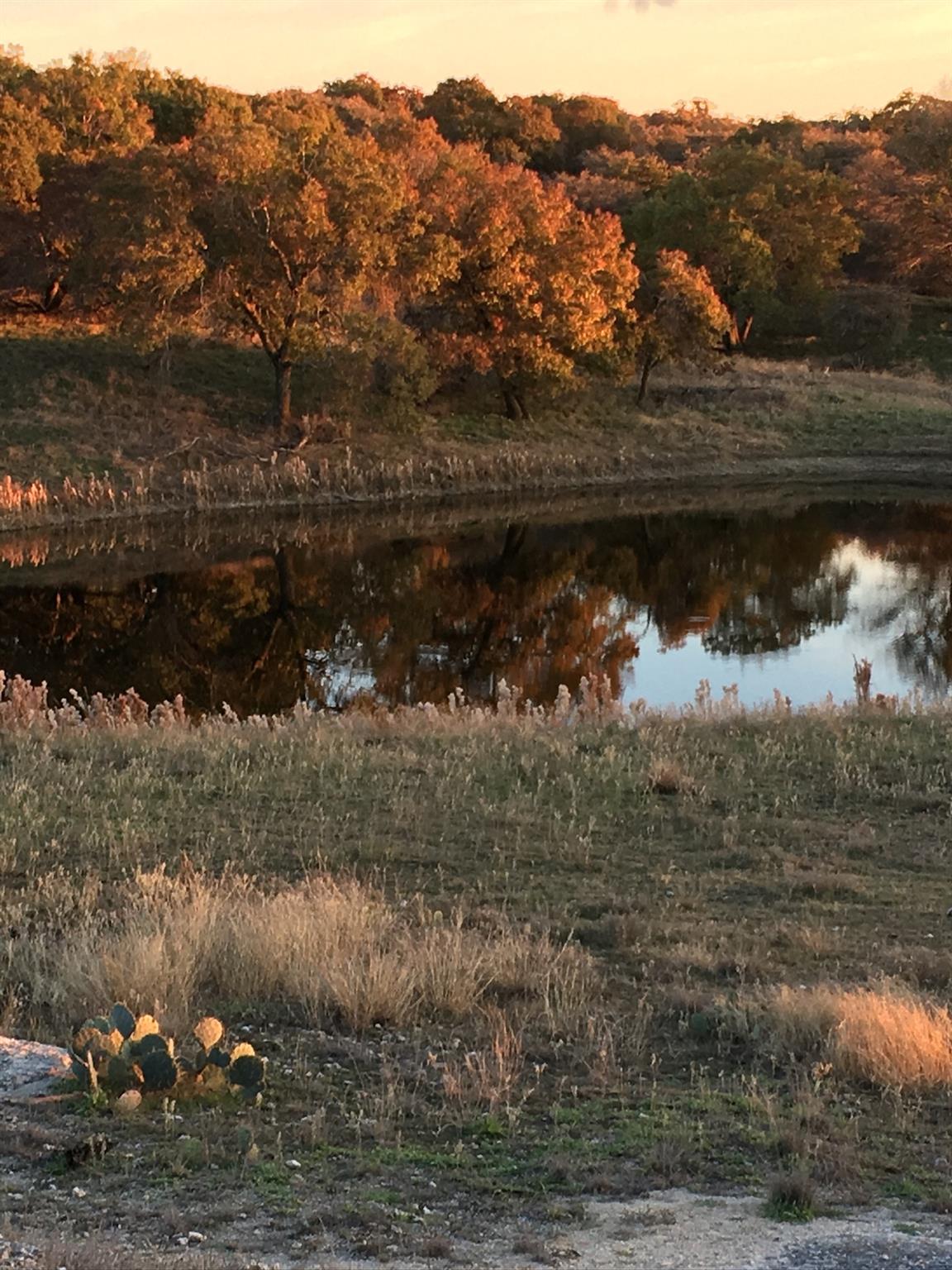 380 CR 262, Goldthwaite, TX 76844