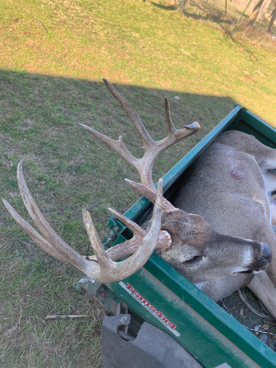 380 CR 262, Goldthwaite, TX 76844