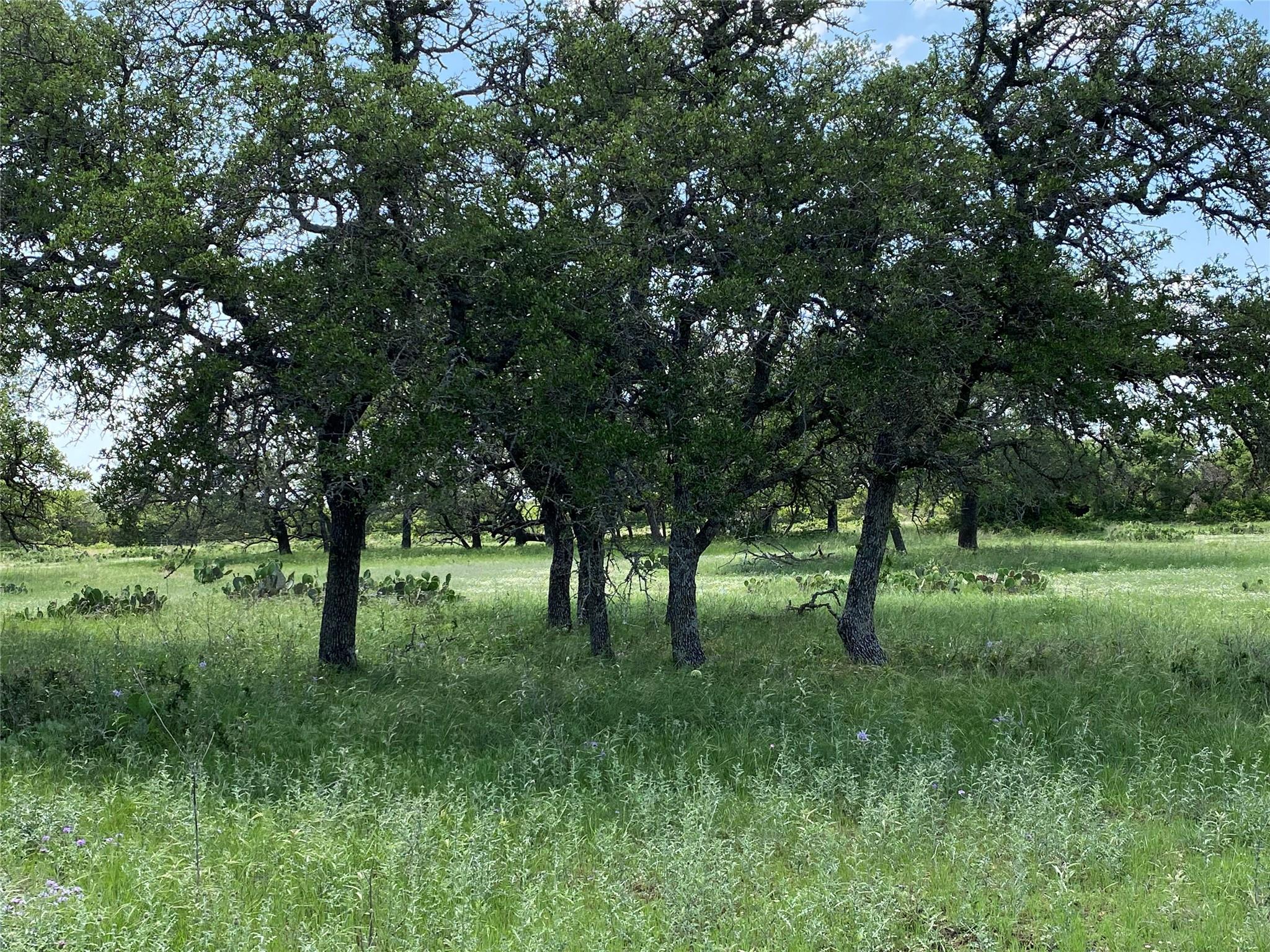380 CR 262, Goldthwaite, TX 76844