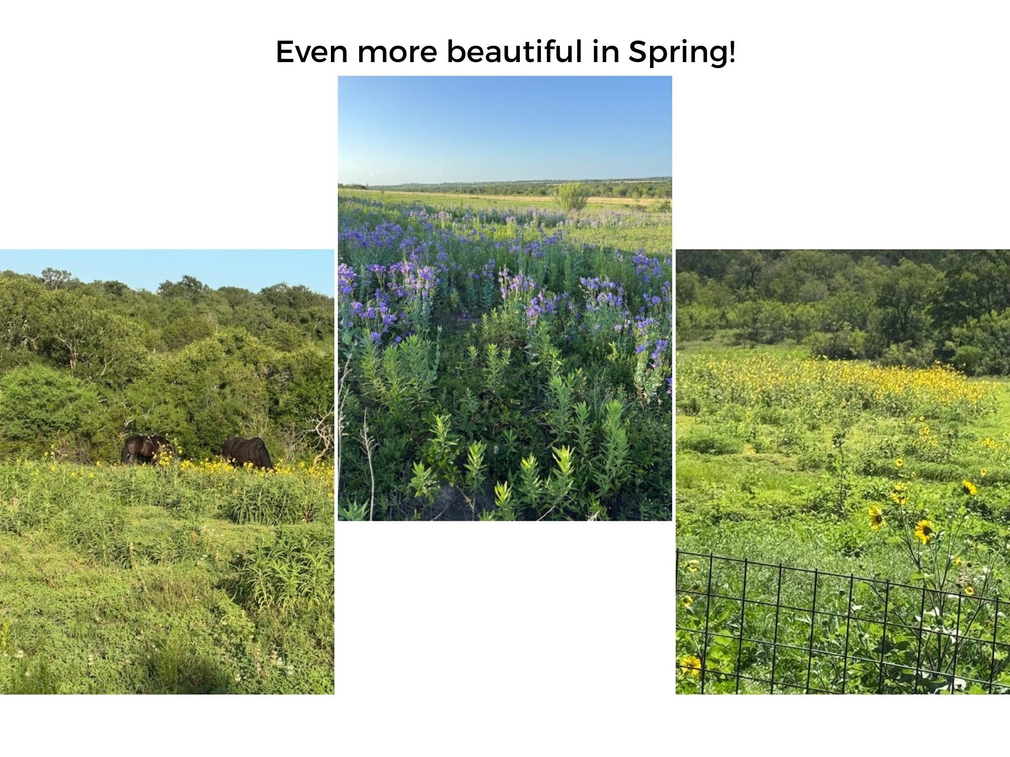 182 Lantana Ln, Maxwell, TX 78656