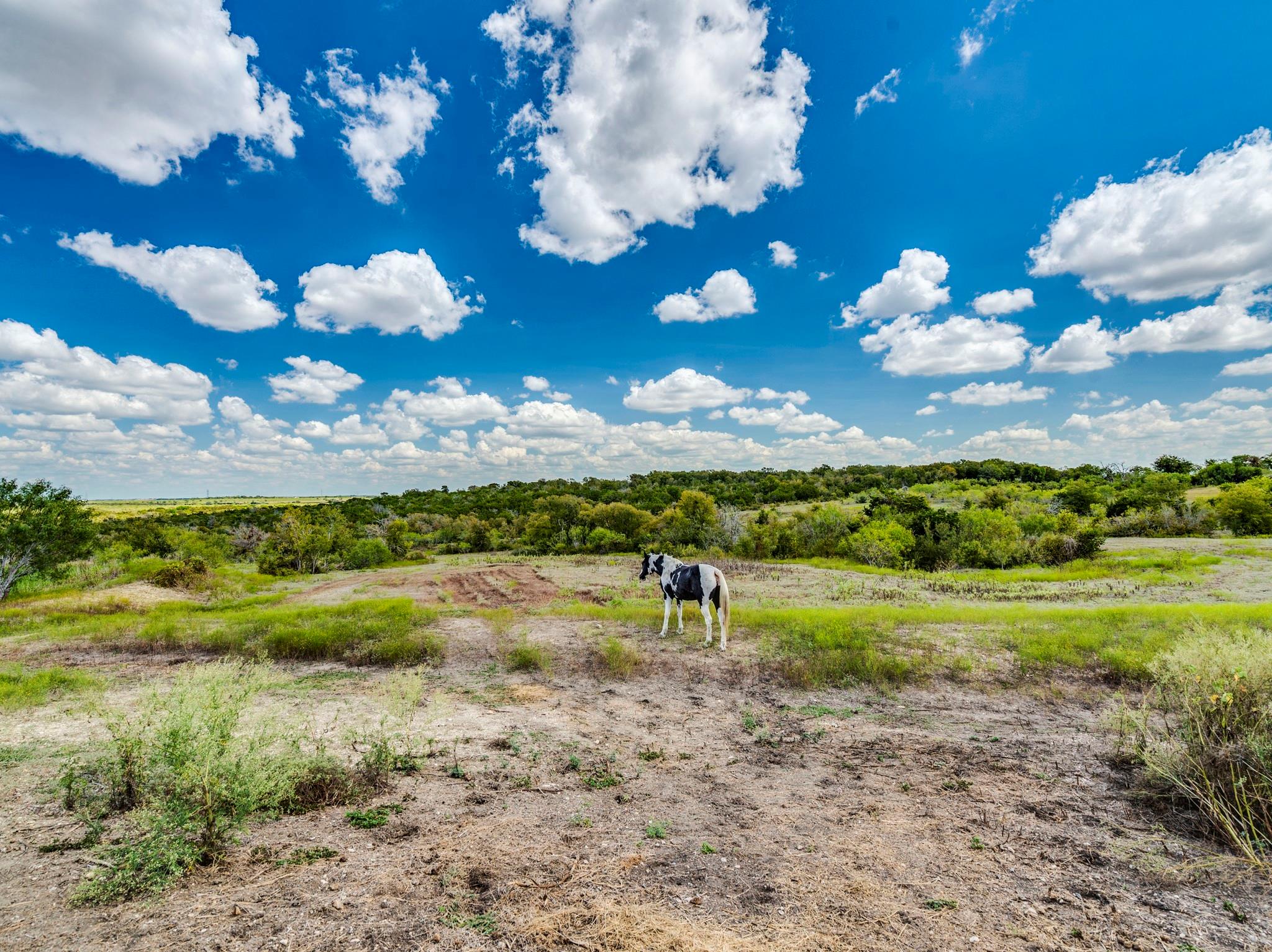 182 Lantana Ln, Maxwell, TX 78656