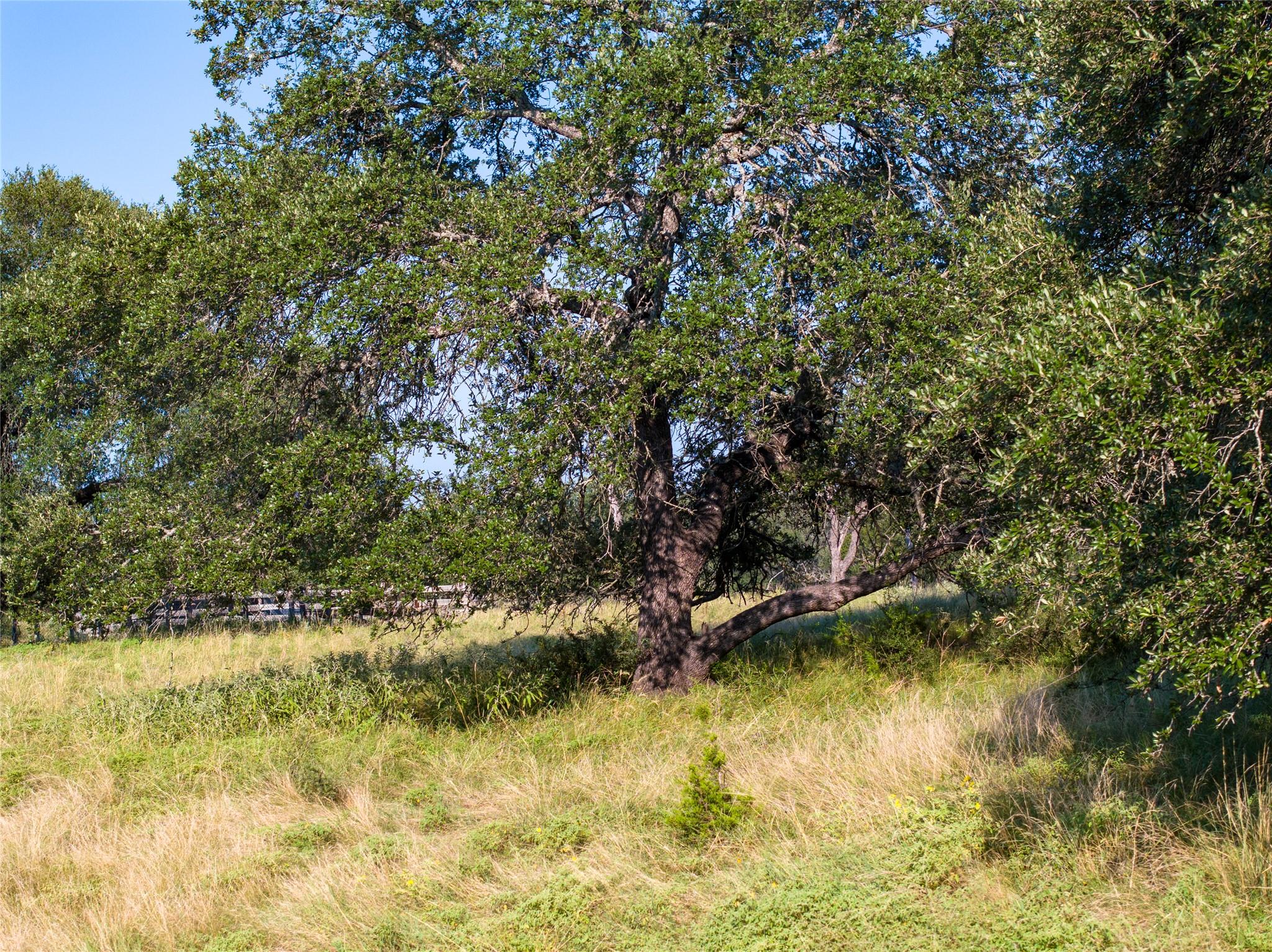 000 CR 121 Rd, Oakalla, TX 76549