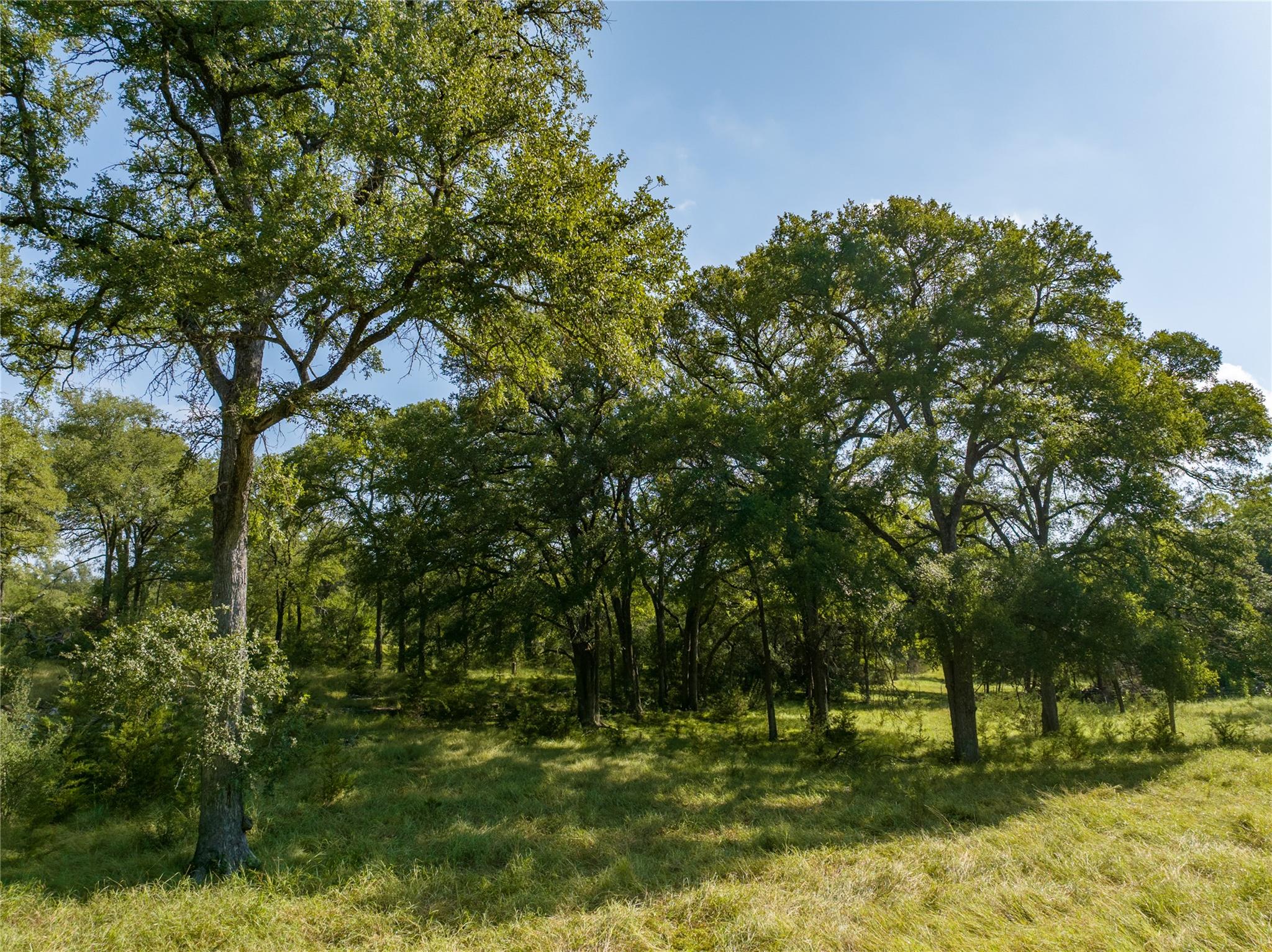 000 CR 121 Rd, Oakalla, TX 76549