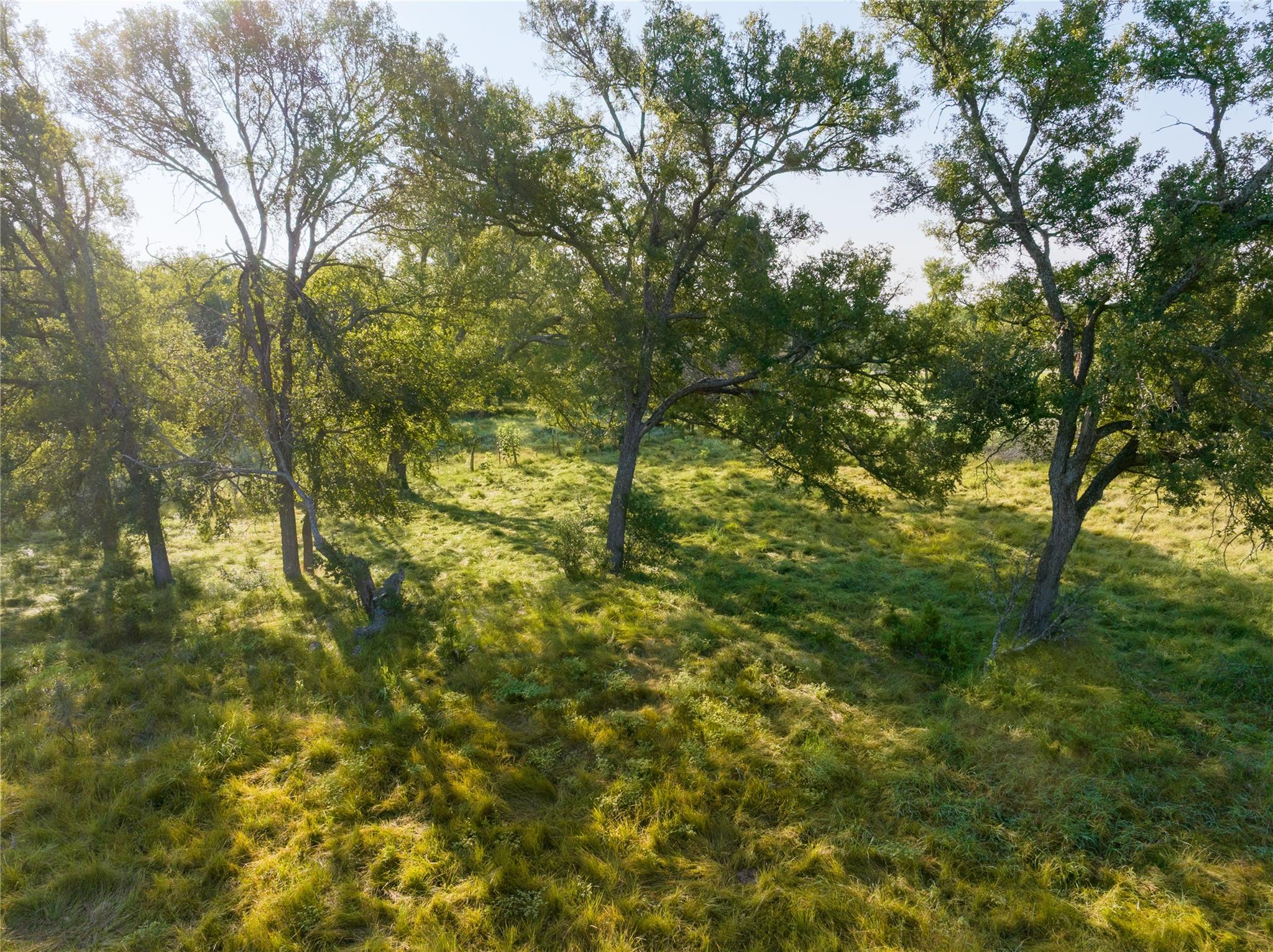 000 CR 121 Rd, Oakalla, TX 76549